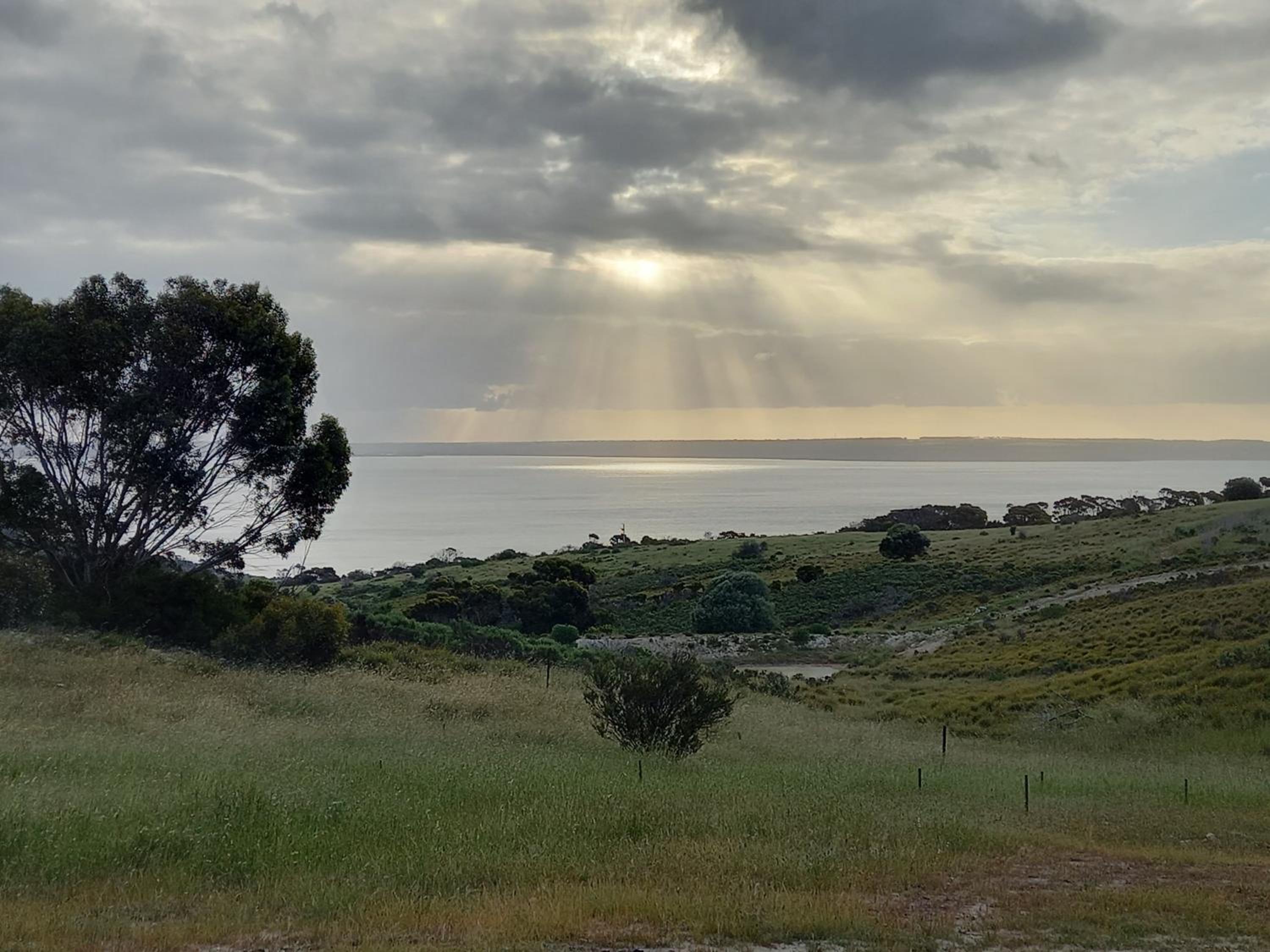 The Rusty Kangaroo - Premium Ocean-View Couples Getaway