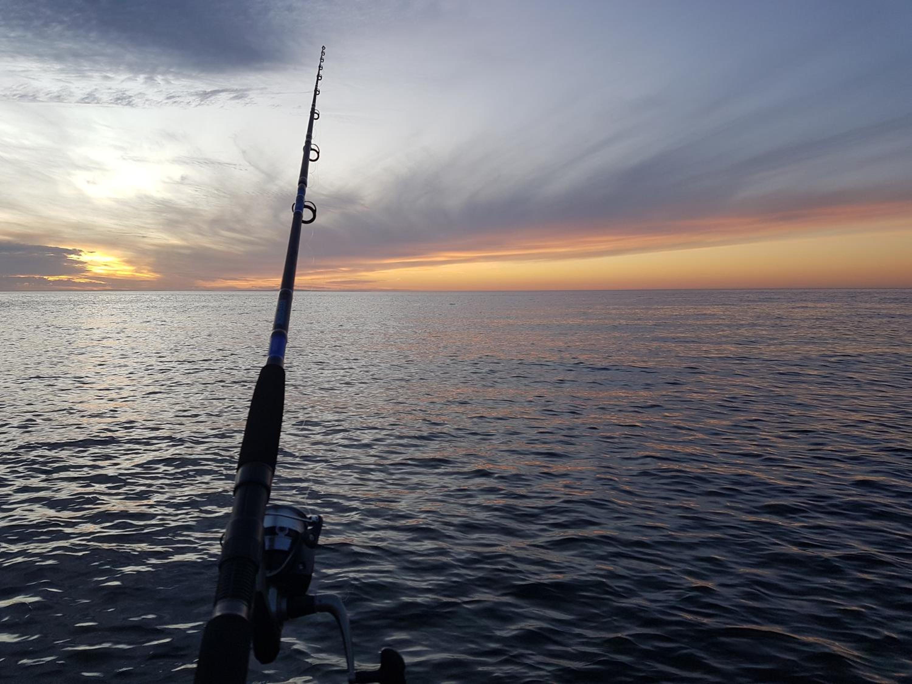 The Rusty Kangaroo - Premium Ocean-View Couples Getaway