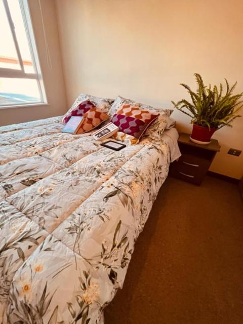 Hostal Damatierra Guesthouse