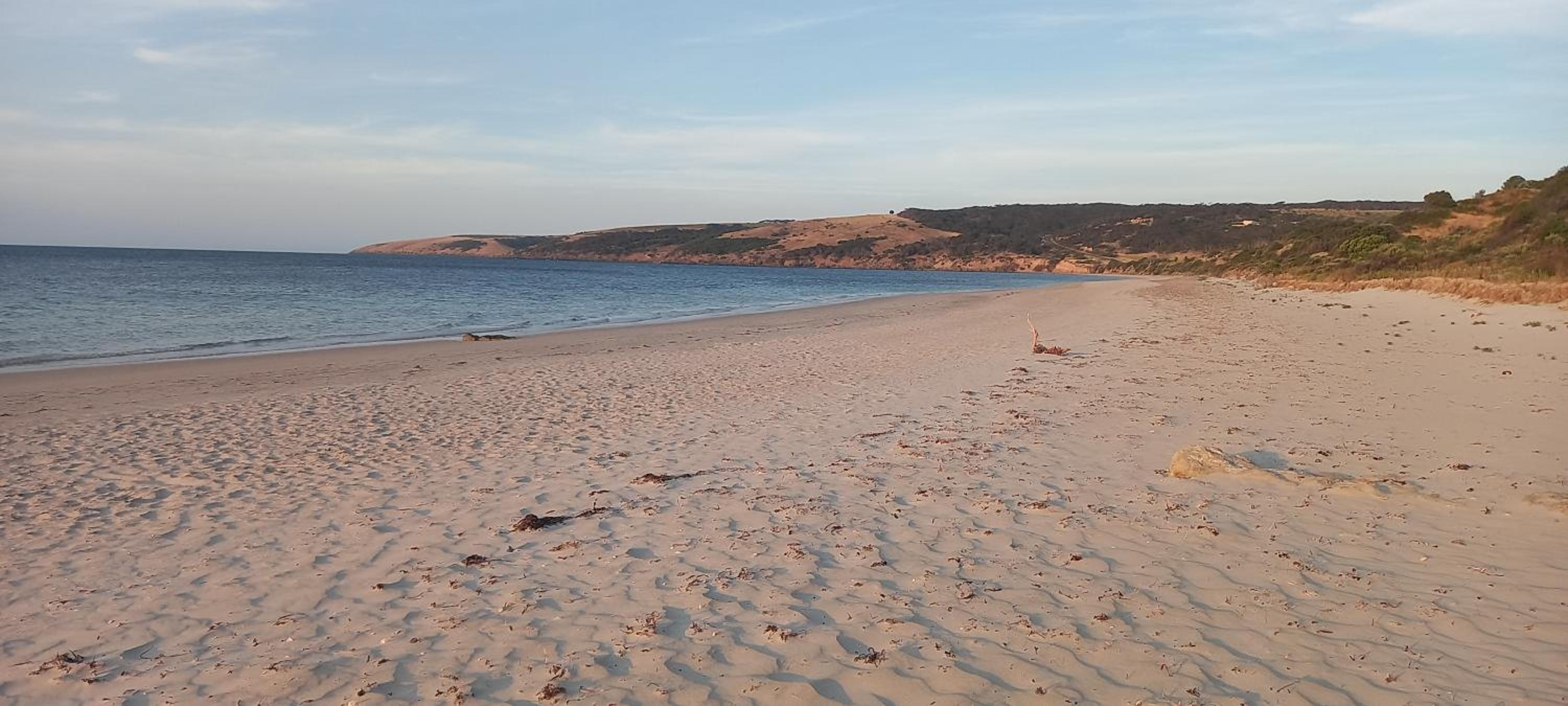 The Rusty Kangaroo - Premium Ocean-View Couples Getaway