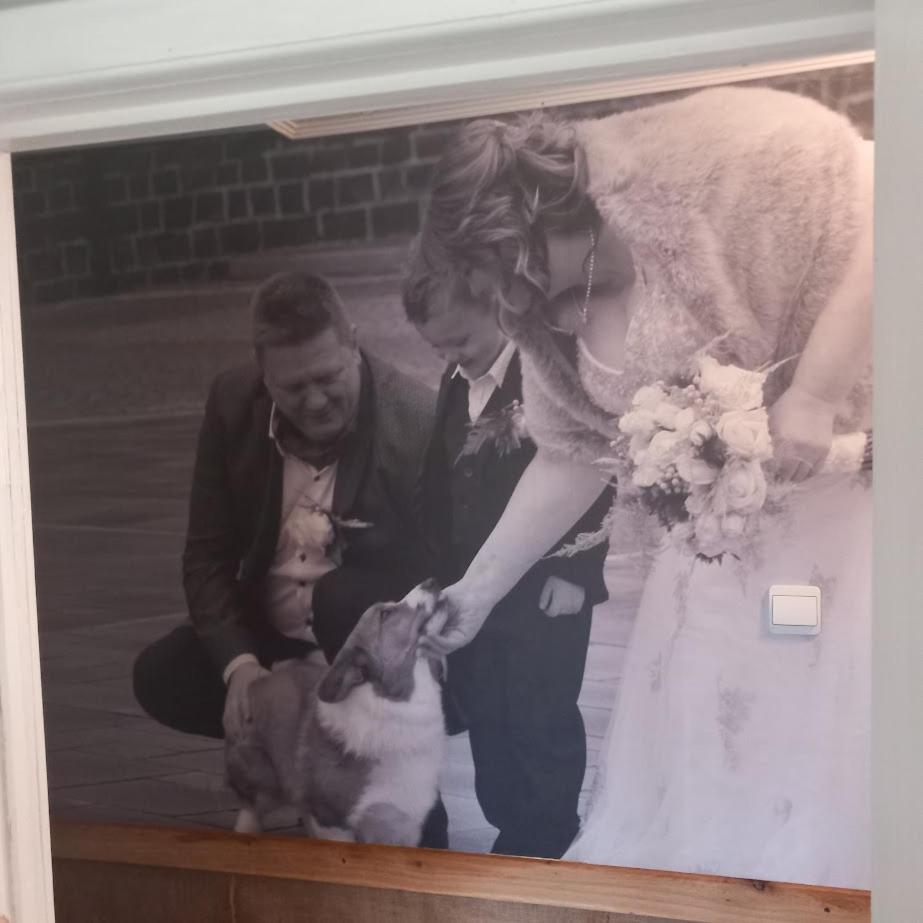 Corgi-Huisje