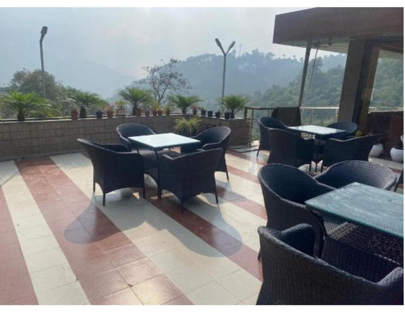 The Woodland, Kandaghat view 5