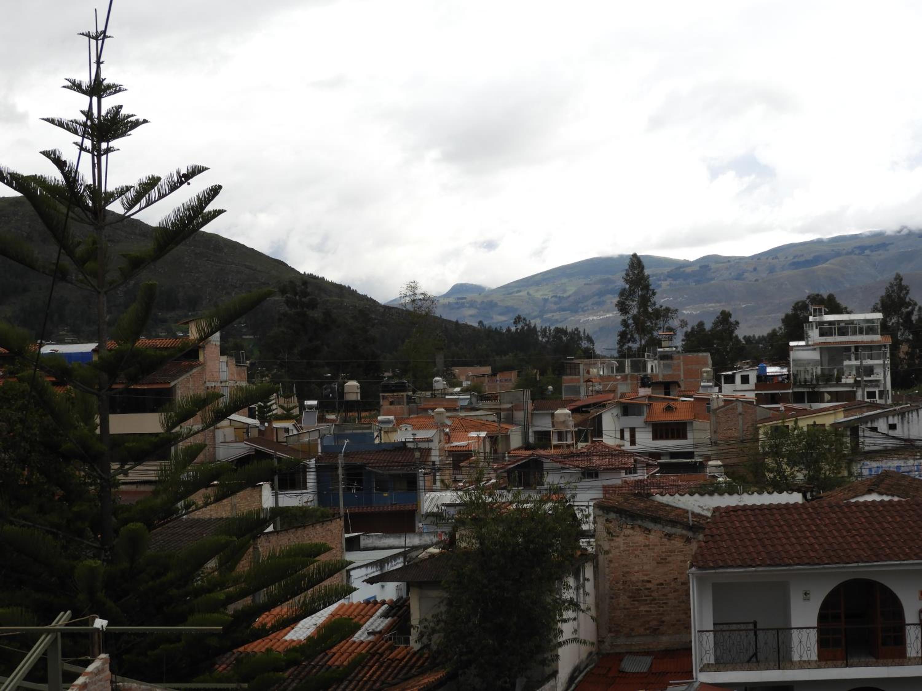 Photo 46