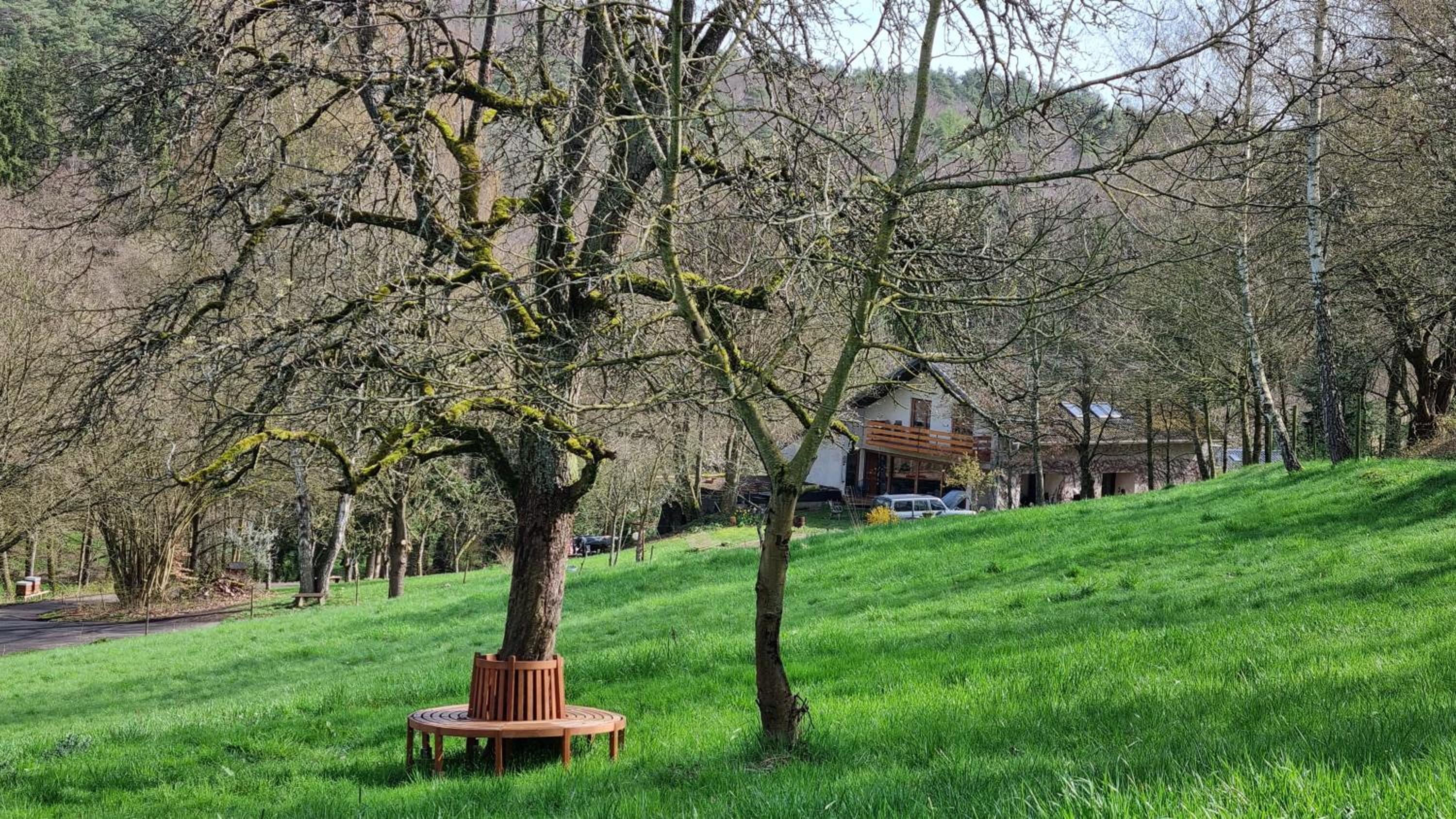 Ferienwohnung Am Kirchberg