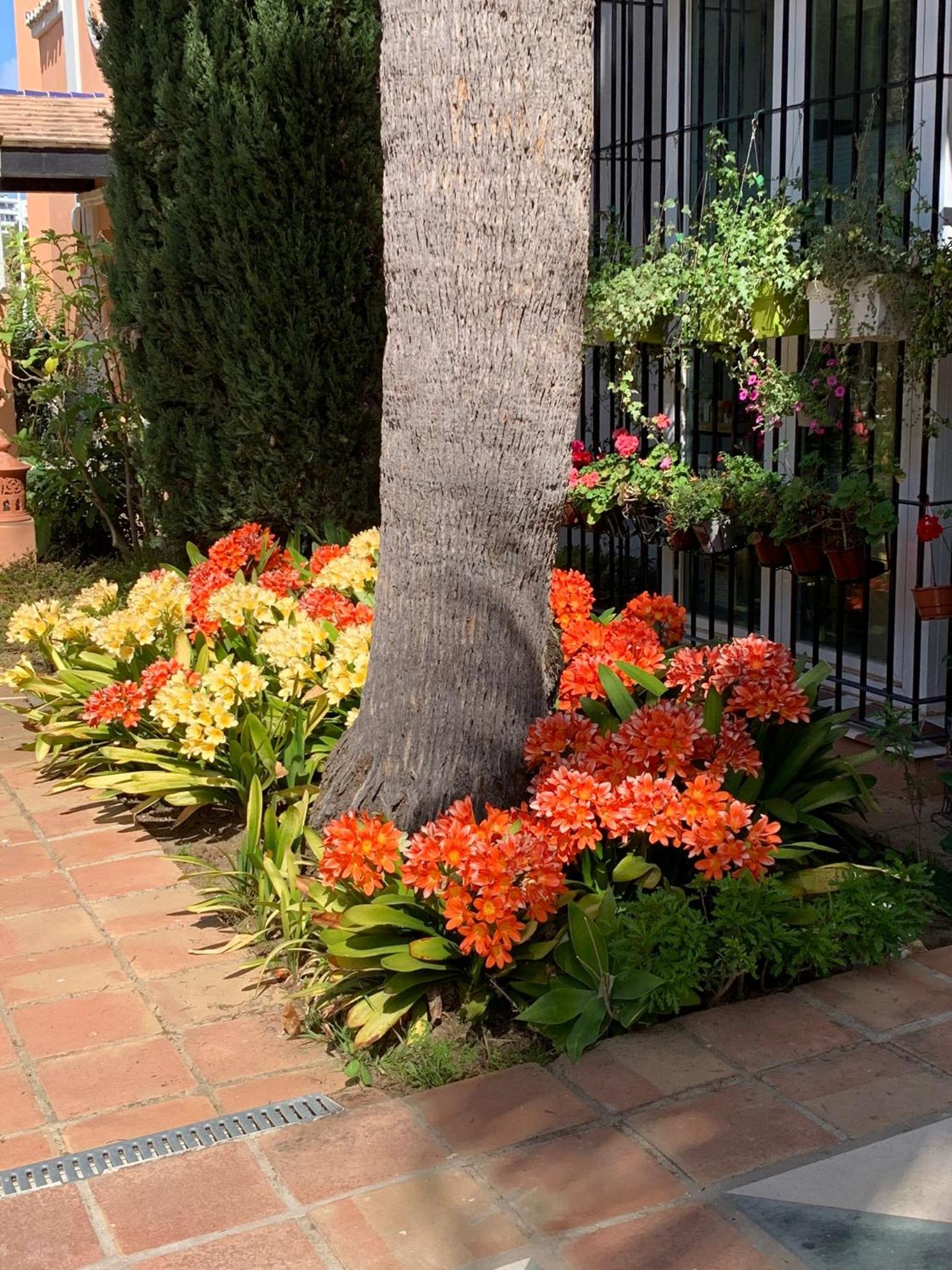 Photo 43