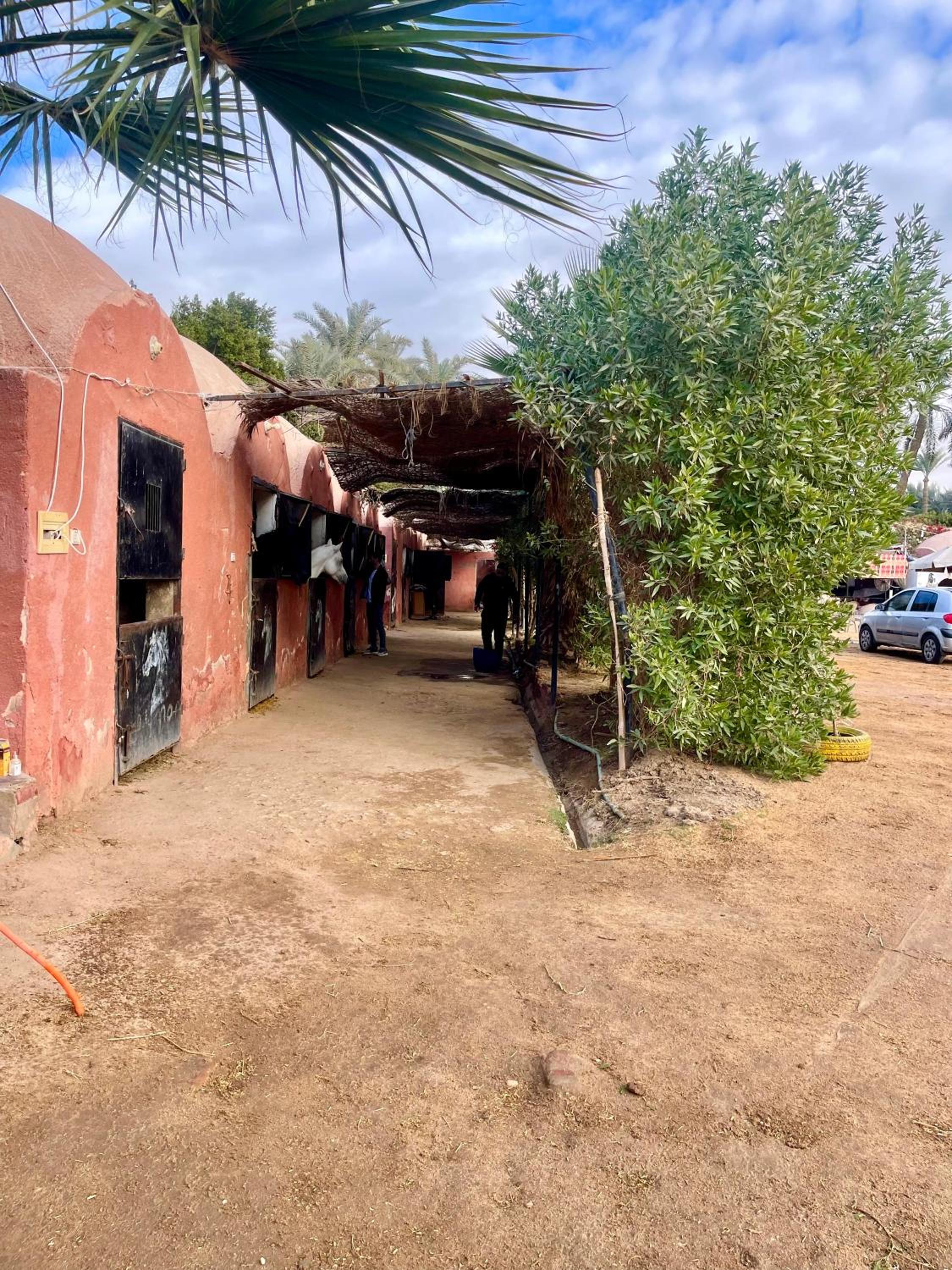 2-single beds beit zeina horse riding