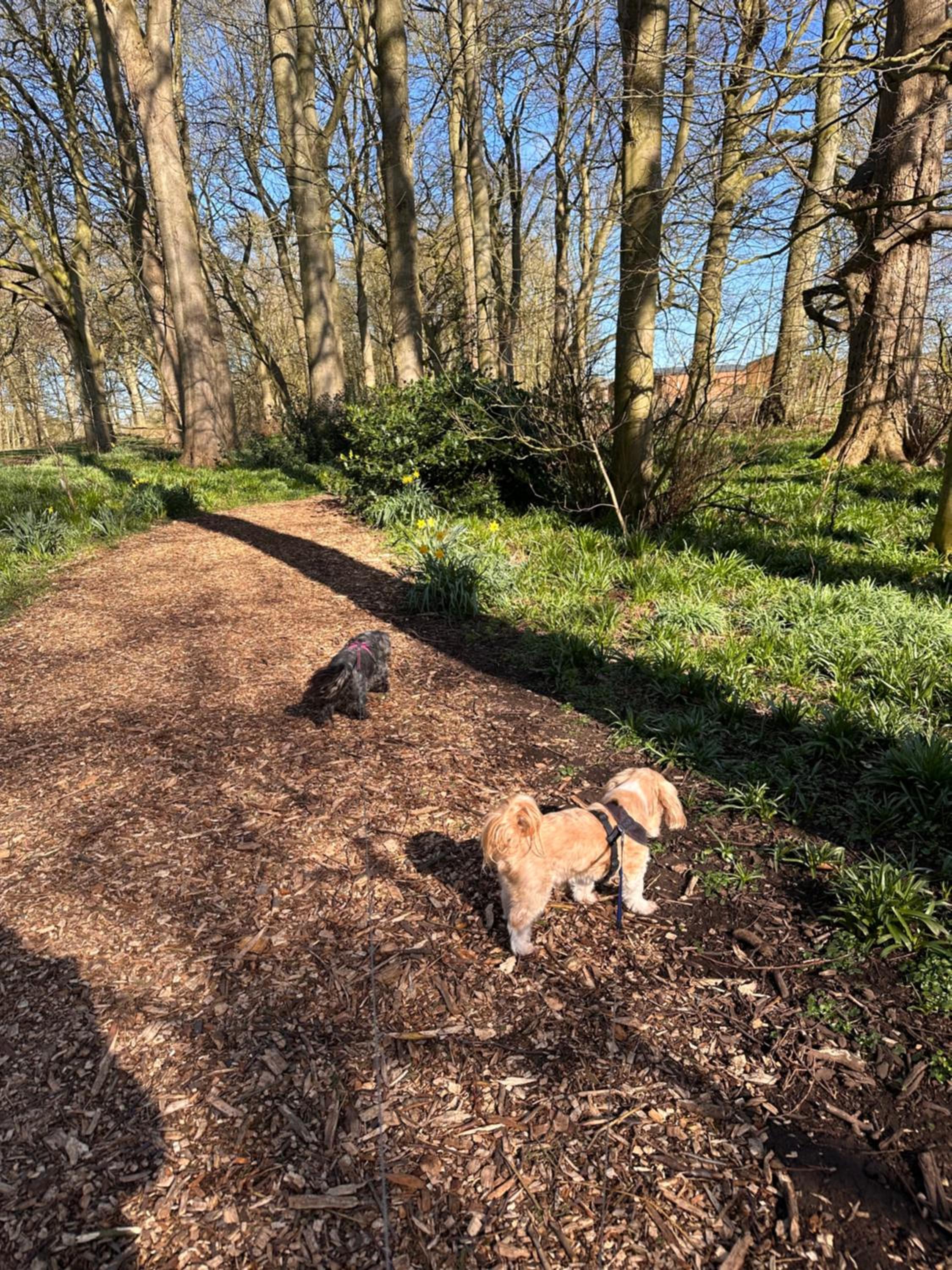 Photo 21