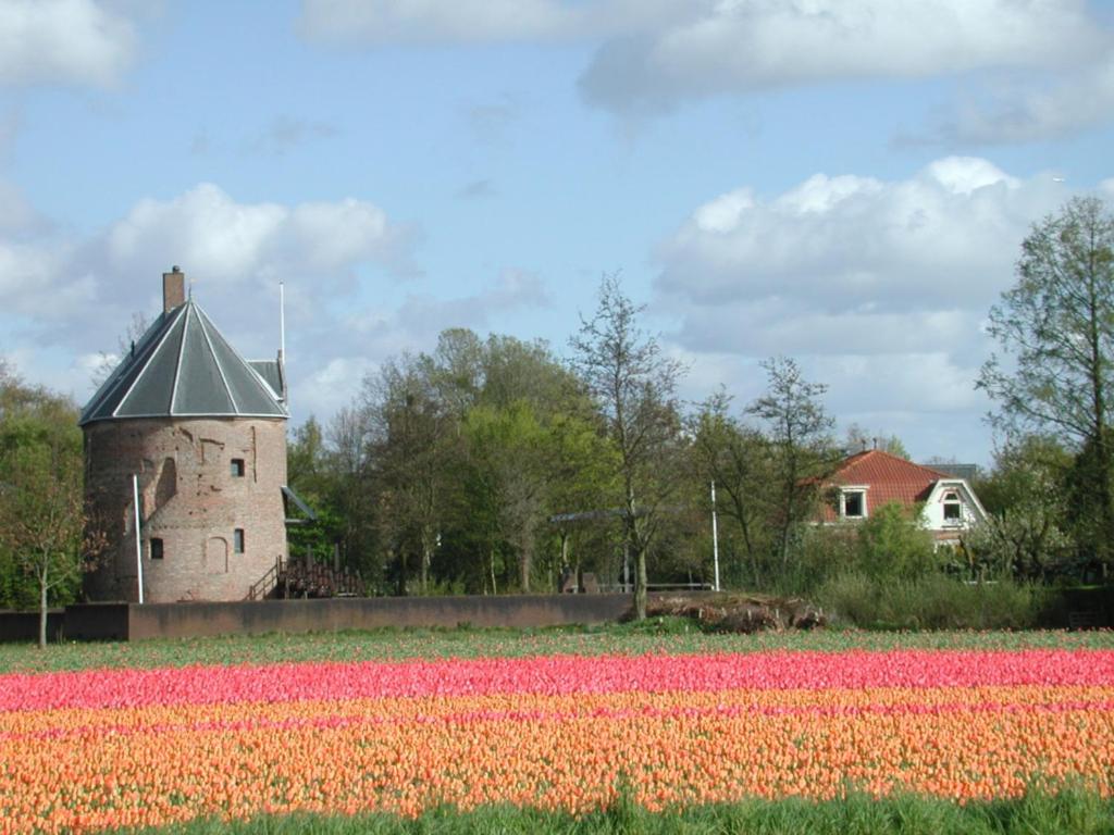 Photo 47