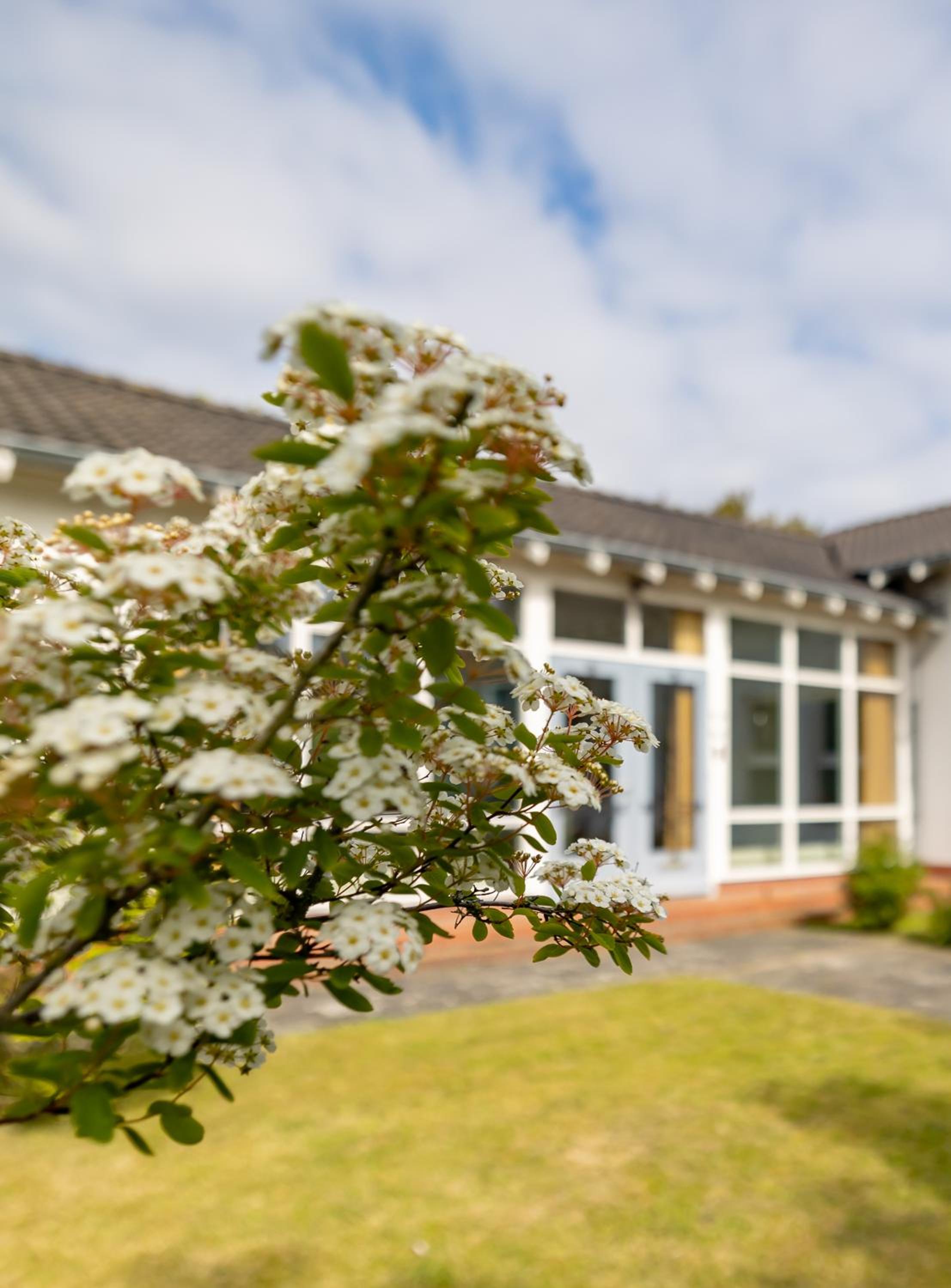 B&B Kroontjesduin, photo 27