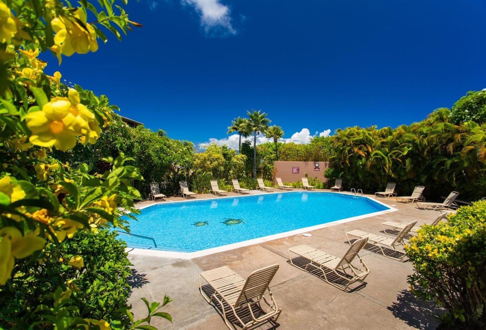 622 Kapalua Ridge Villa view 4