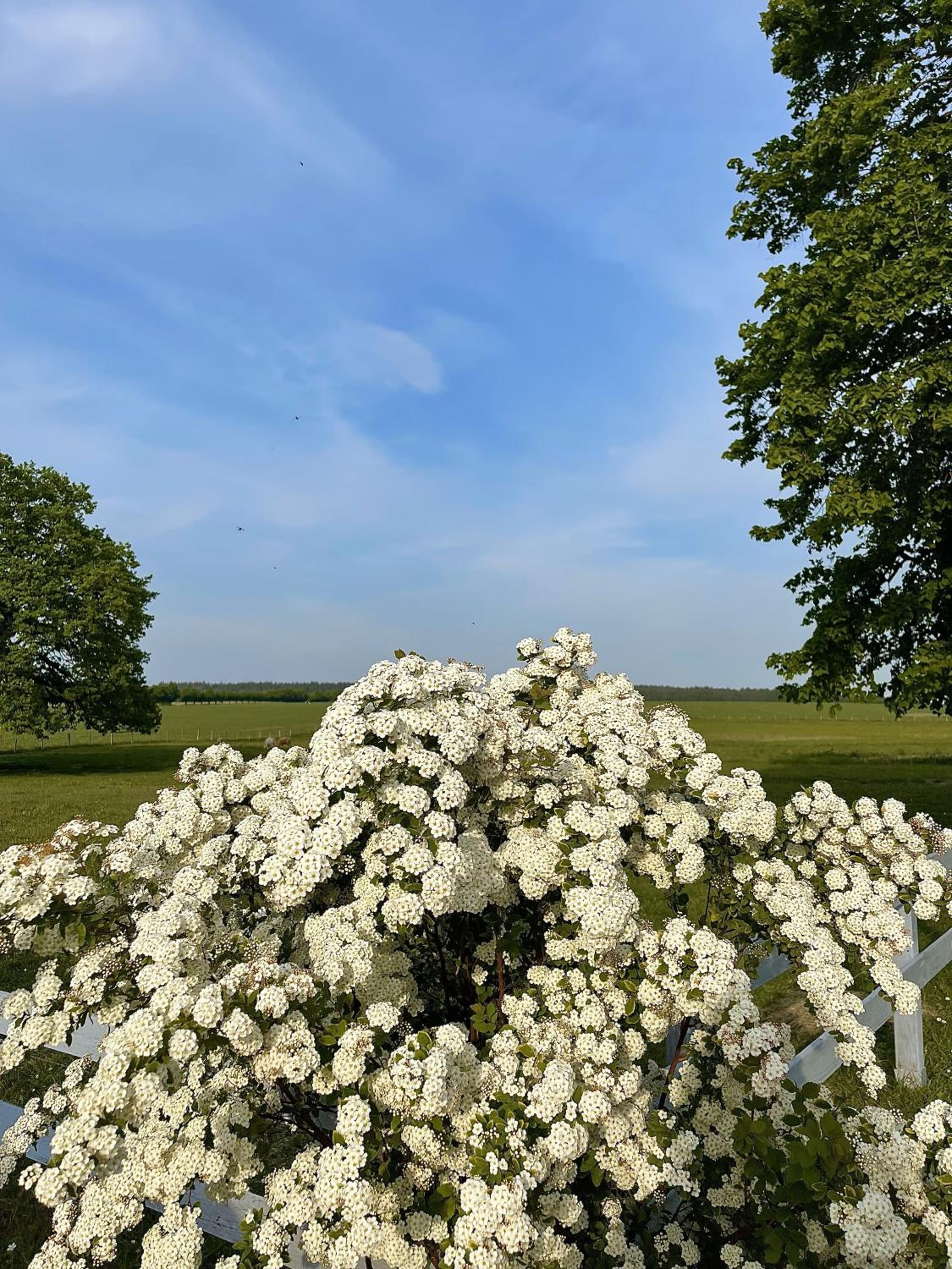 Pension Müritzblick