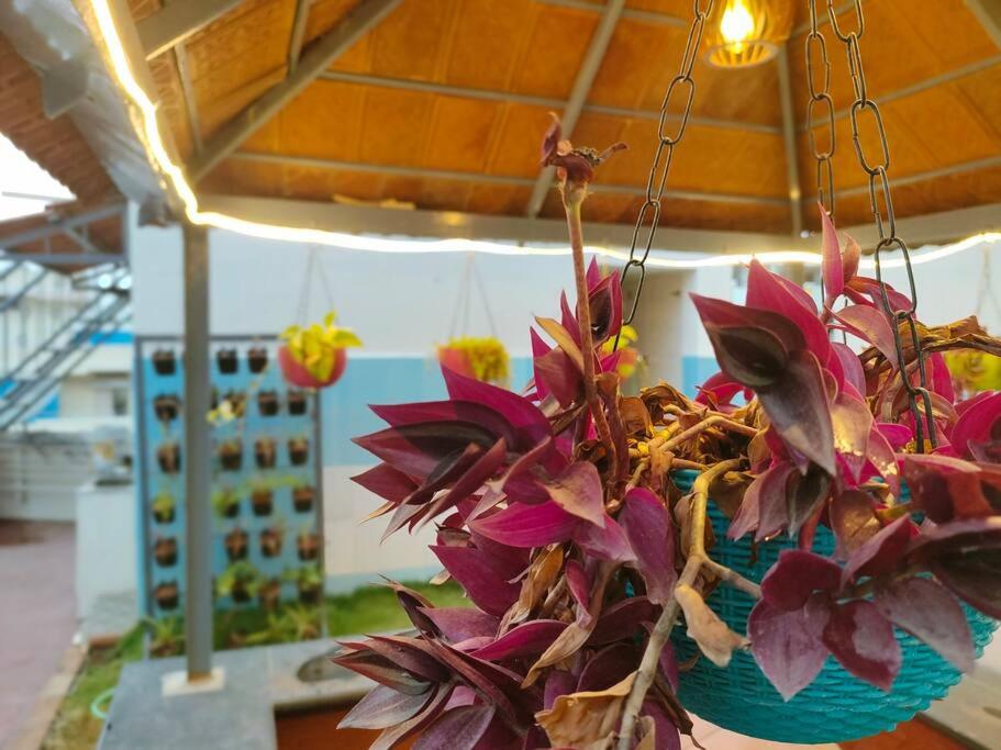 Anjani Suta Home stay view 3