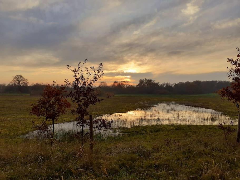 Geniet van het leven.. in De boomklever view 5