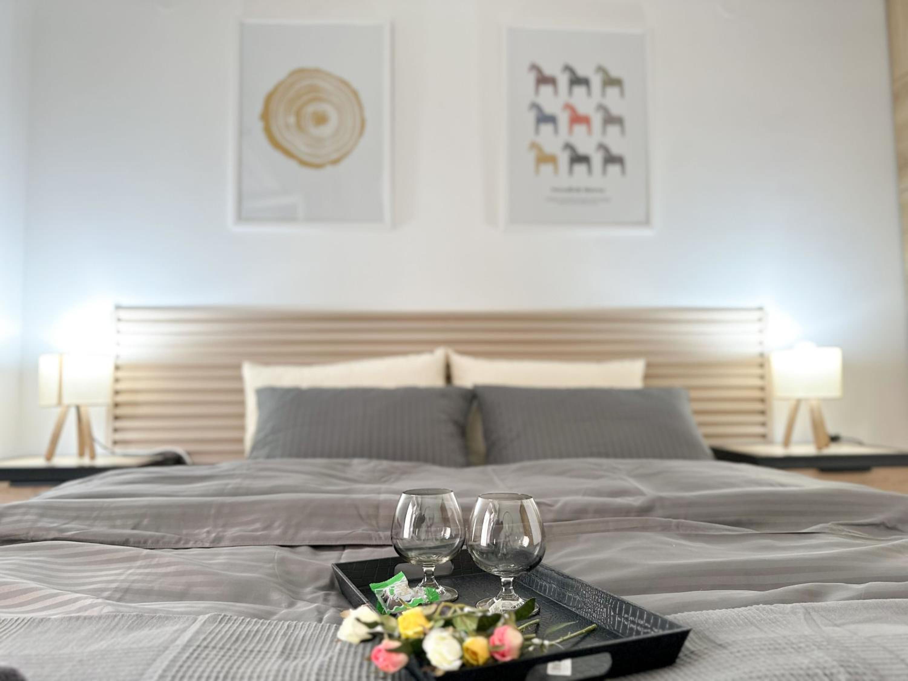Centre Space Apartment - Best price in Skopje- Free public parking