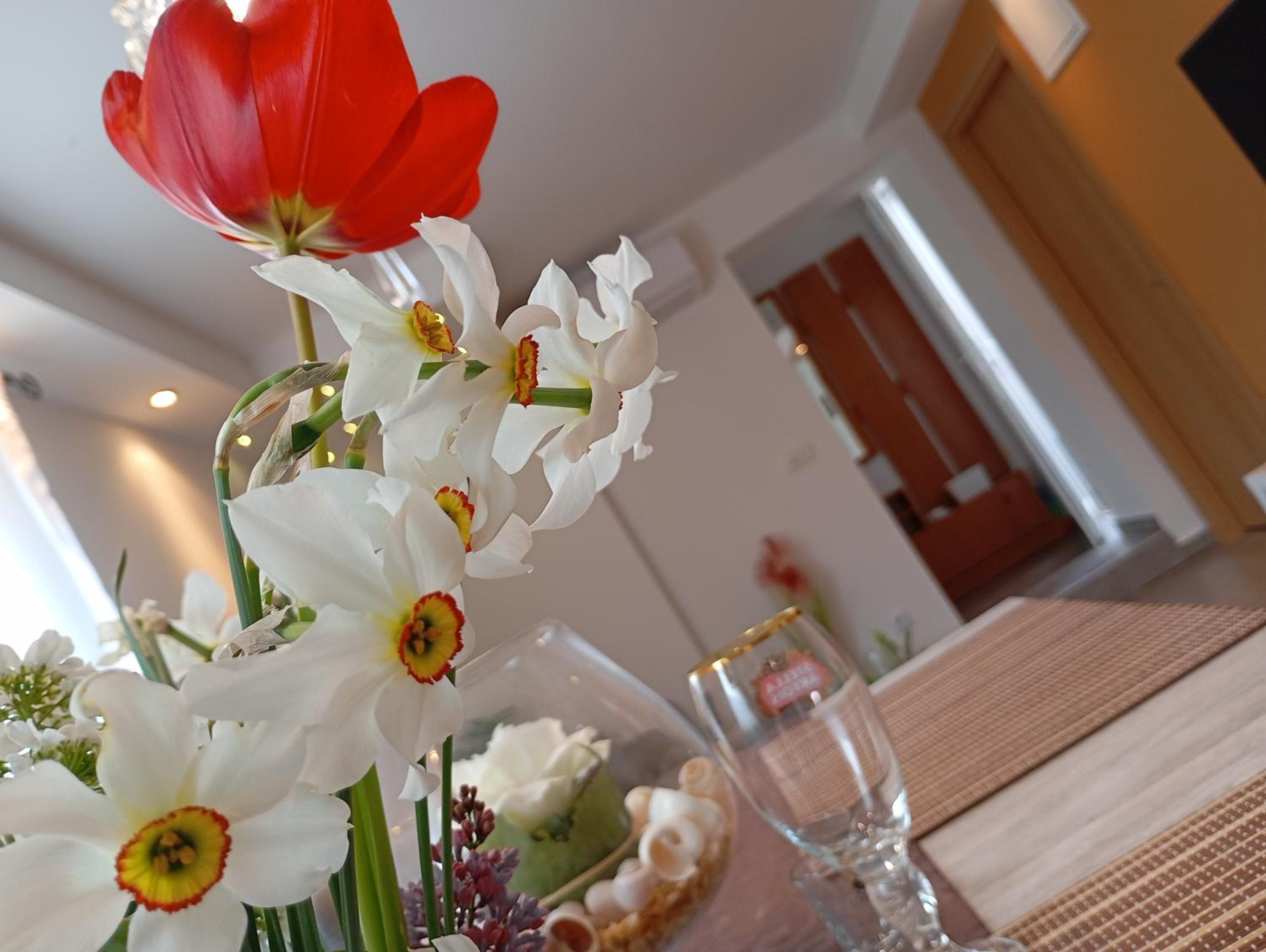 Apartman Maja