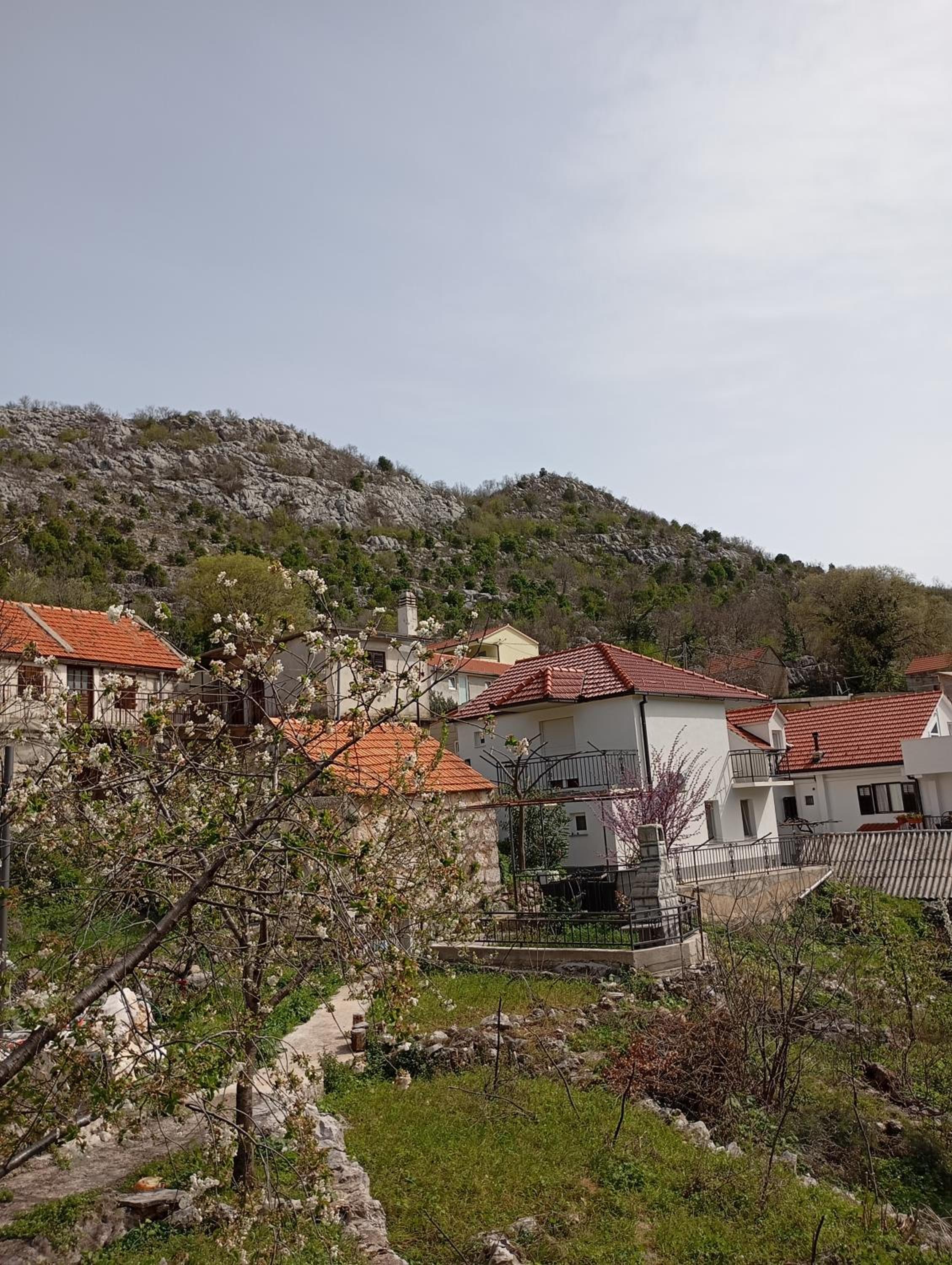 Apartman Maja