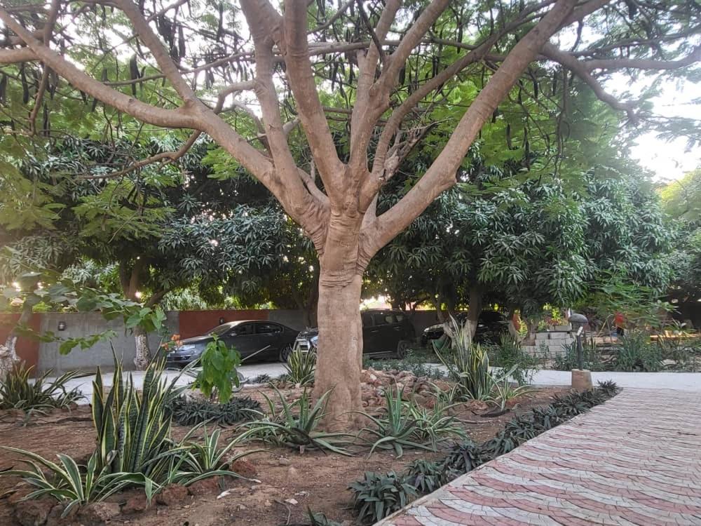 Villa Adansonia