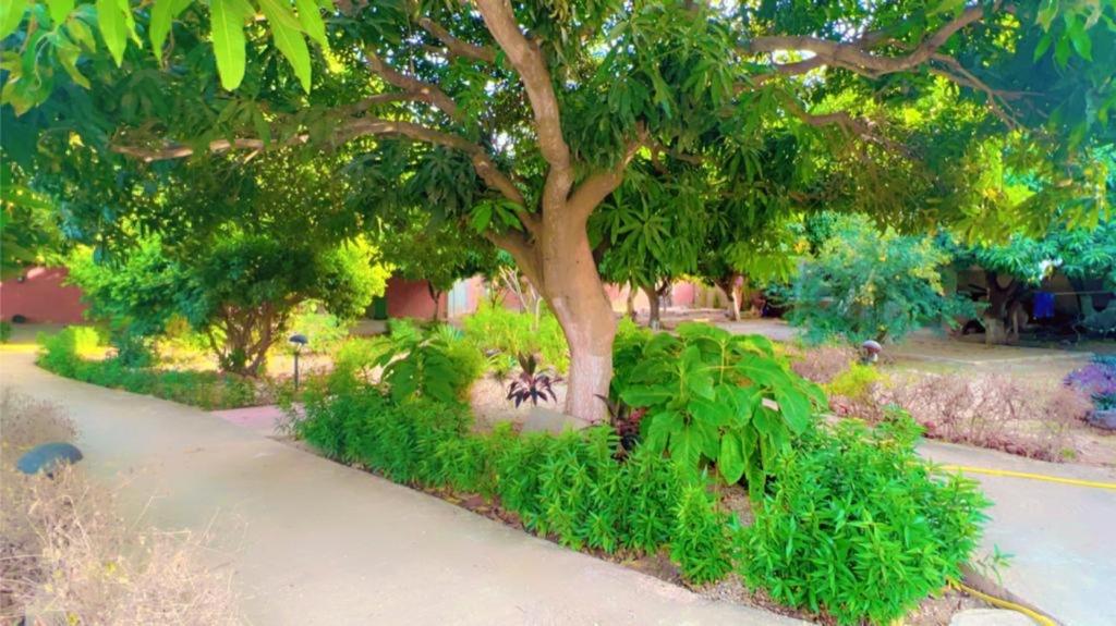 Villa Adansonia