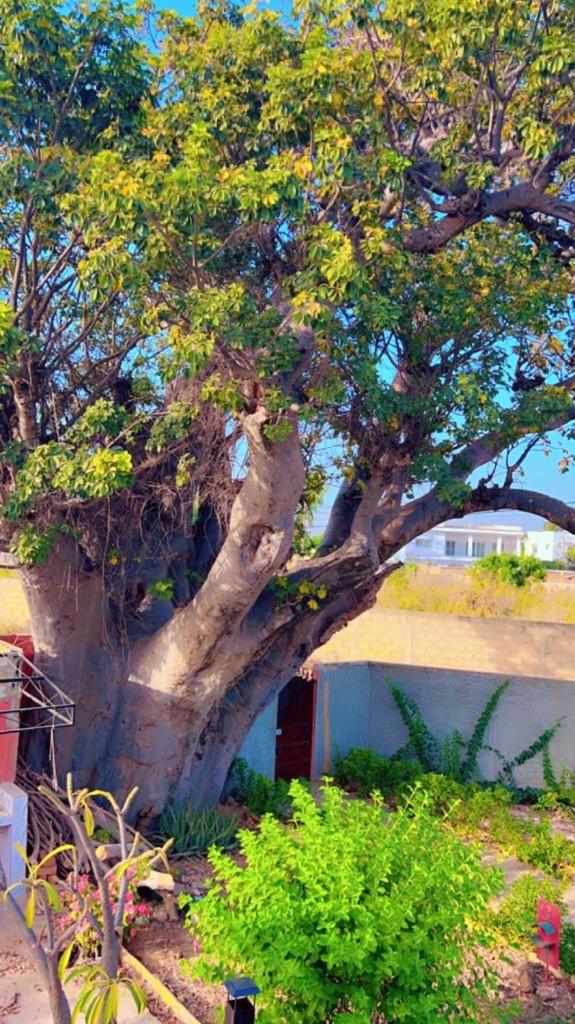 Villa Adansonia