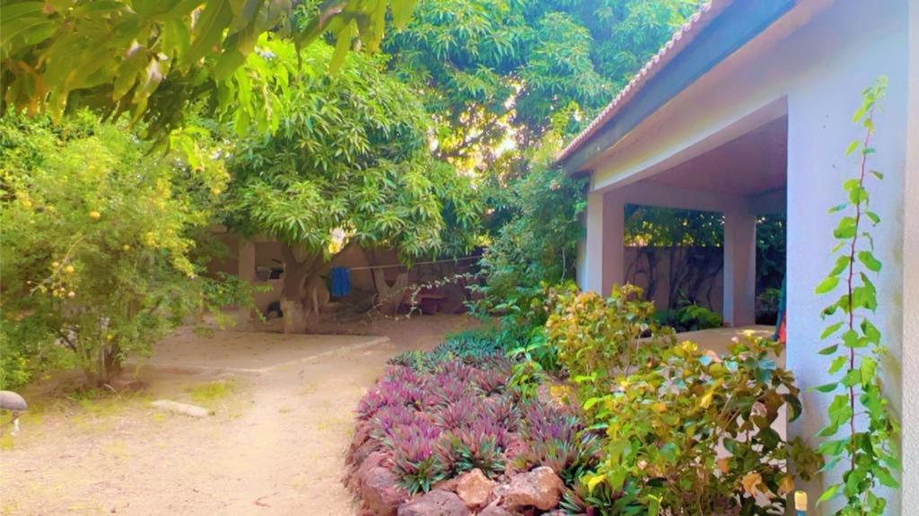 Villa Adansonia