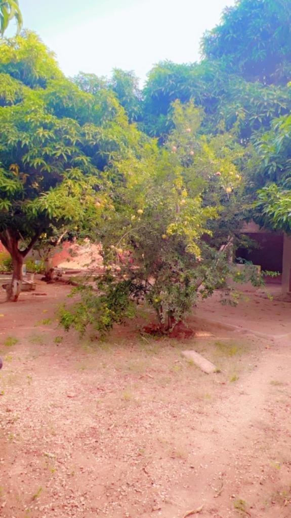 Villa Adansonia