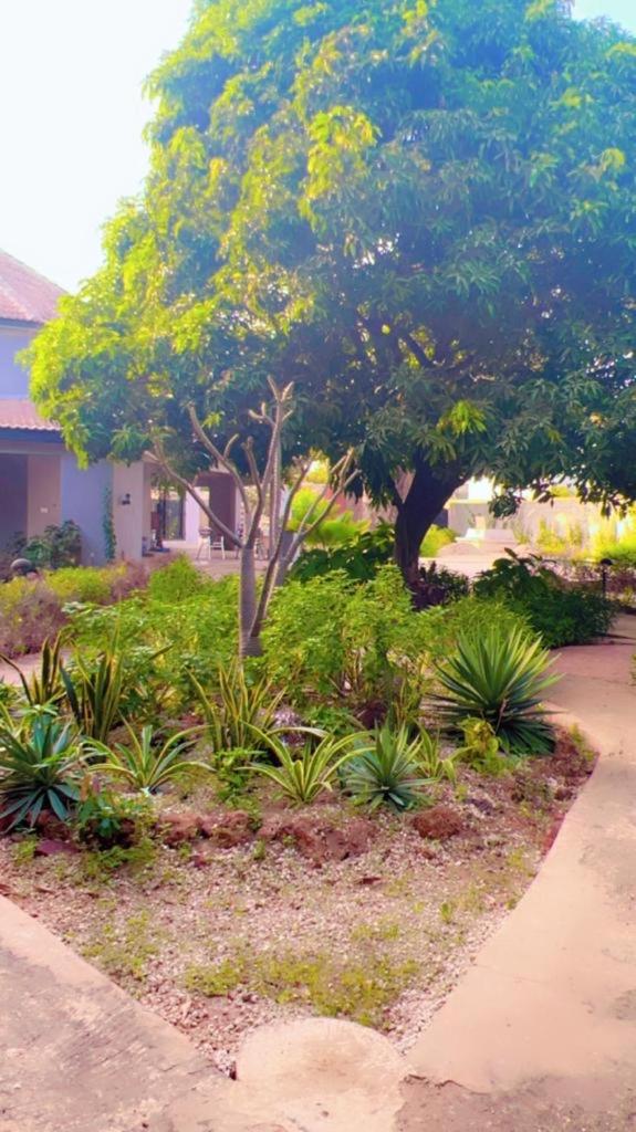 Villa Adansonia