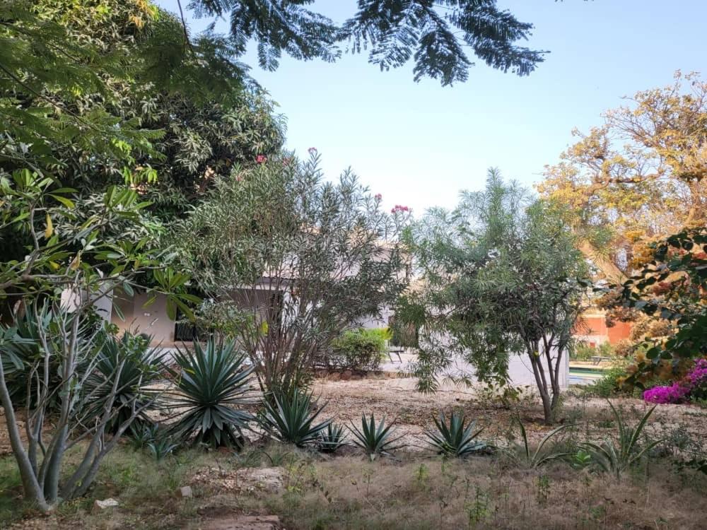 Villa Adansonia