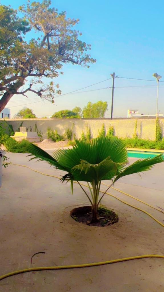 Villa Adansonia