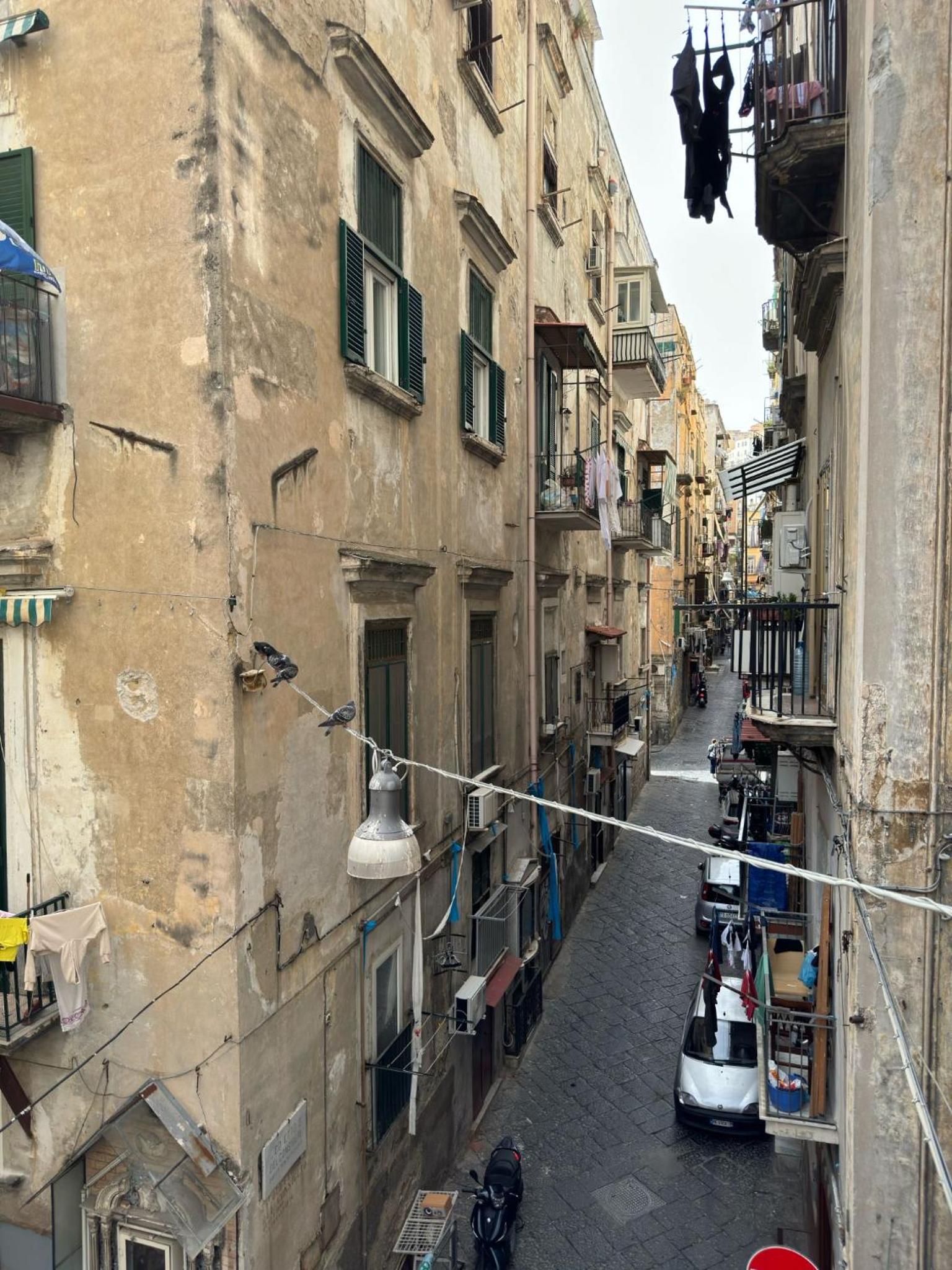 Toledo Relax