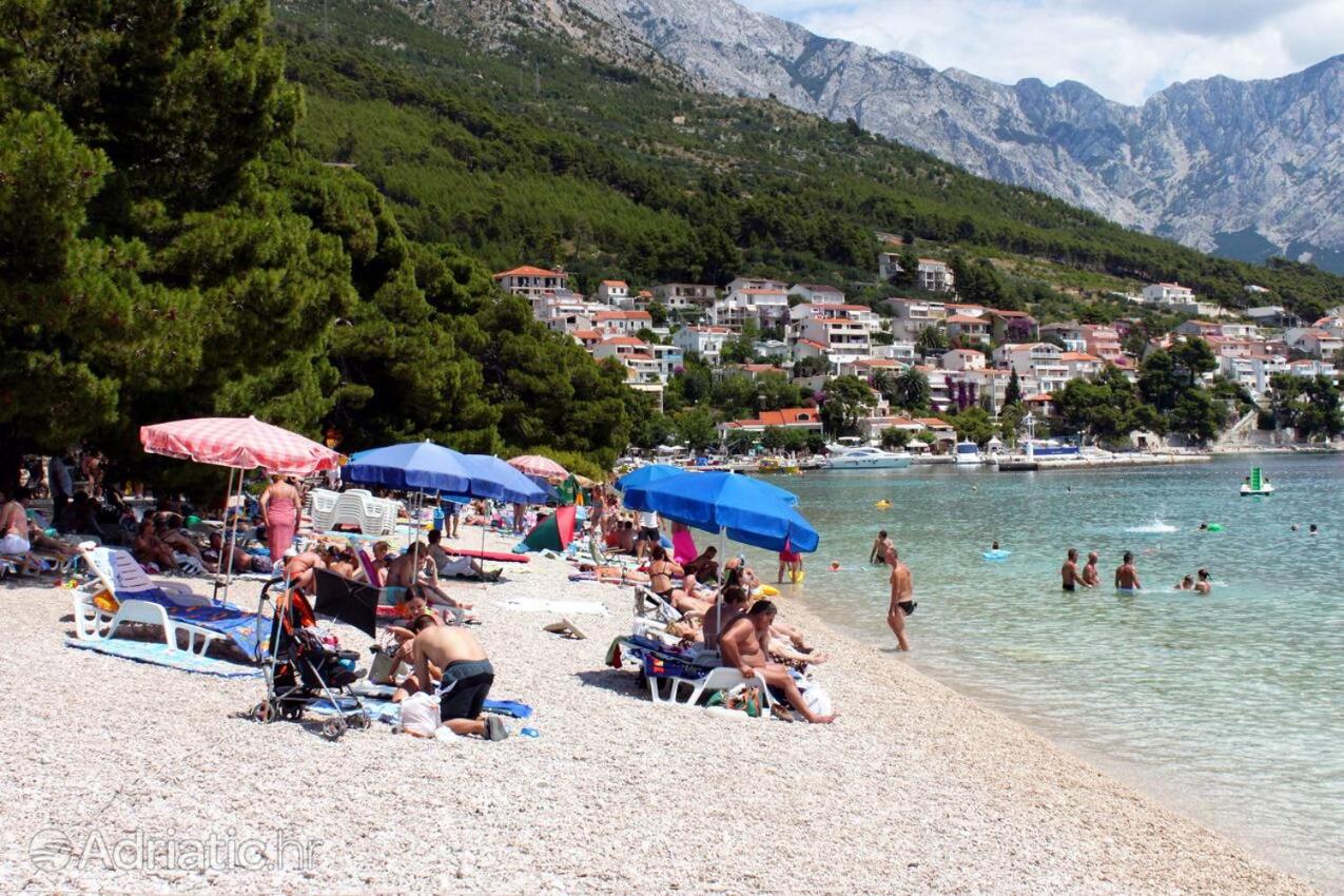 Apartman Maja