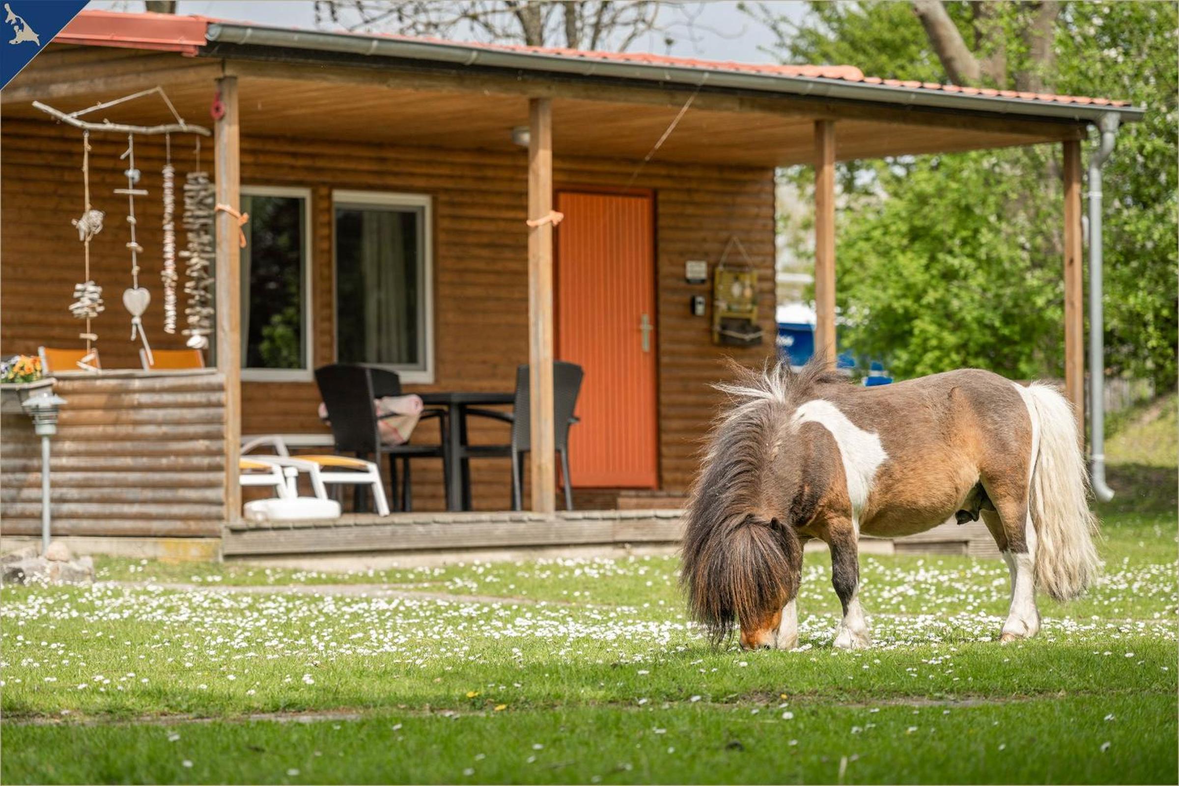 Ferienresort Möwenort Lütow Bungalow 8