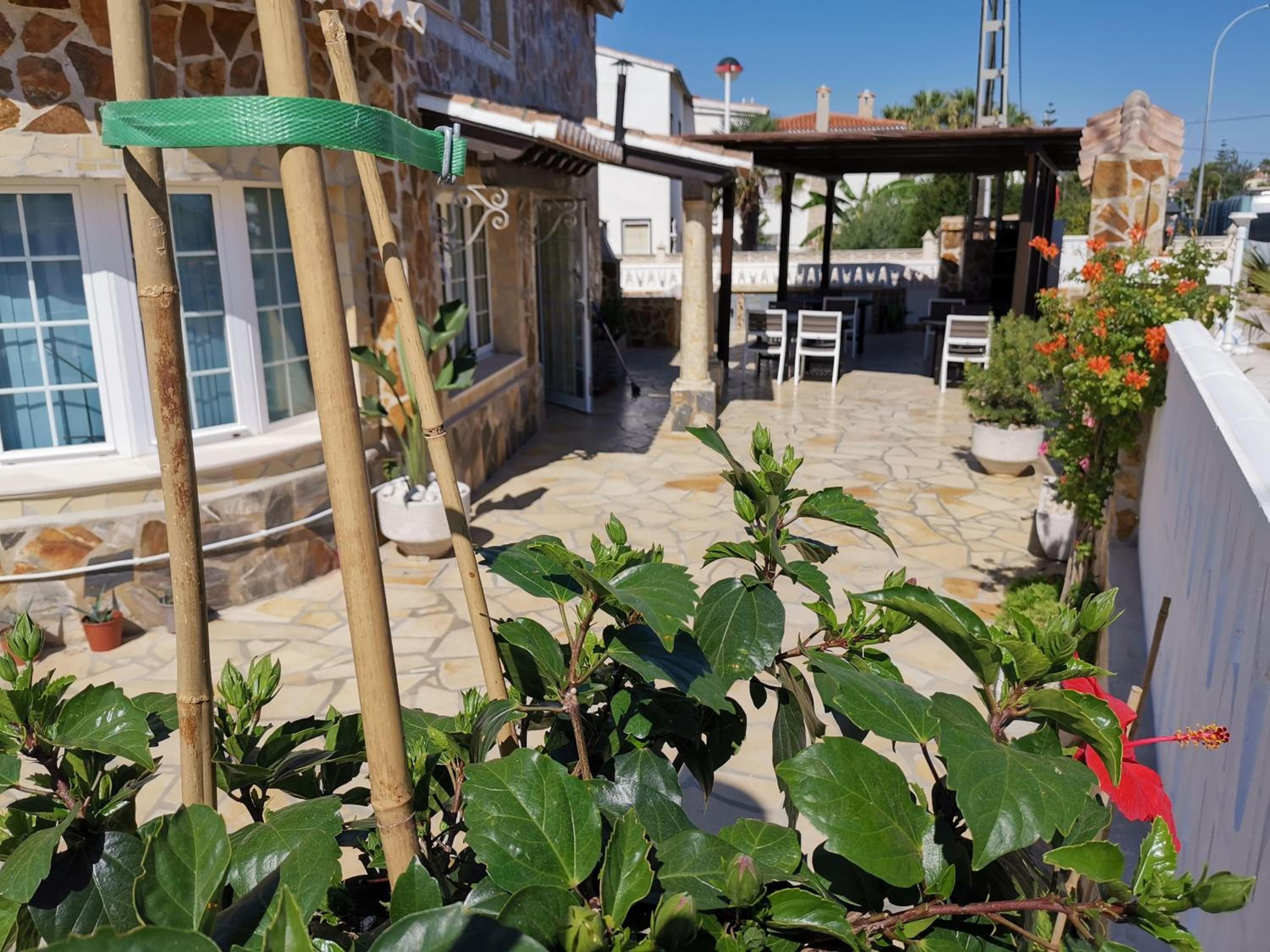 Apartamentos Thomas