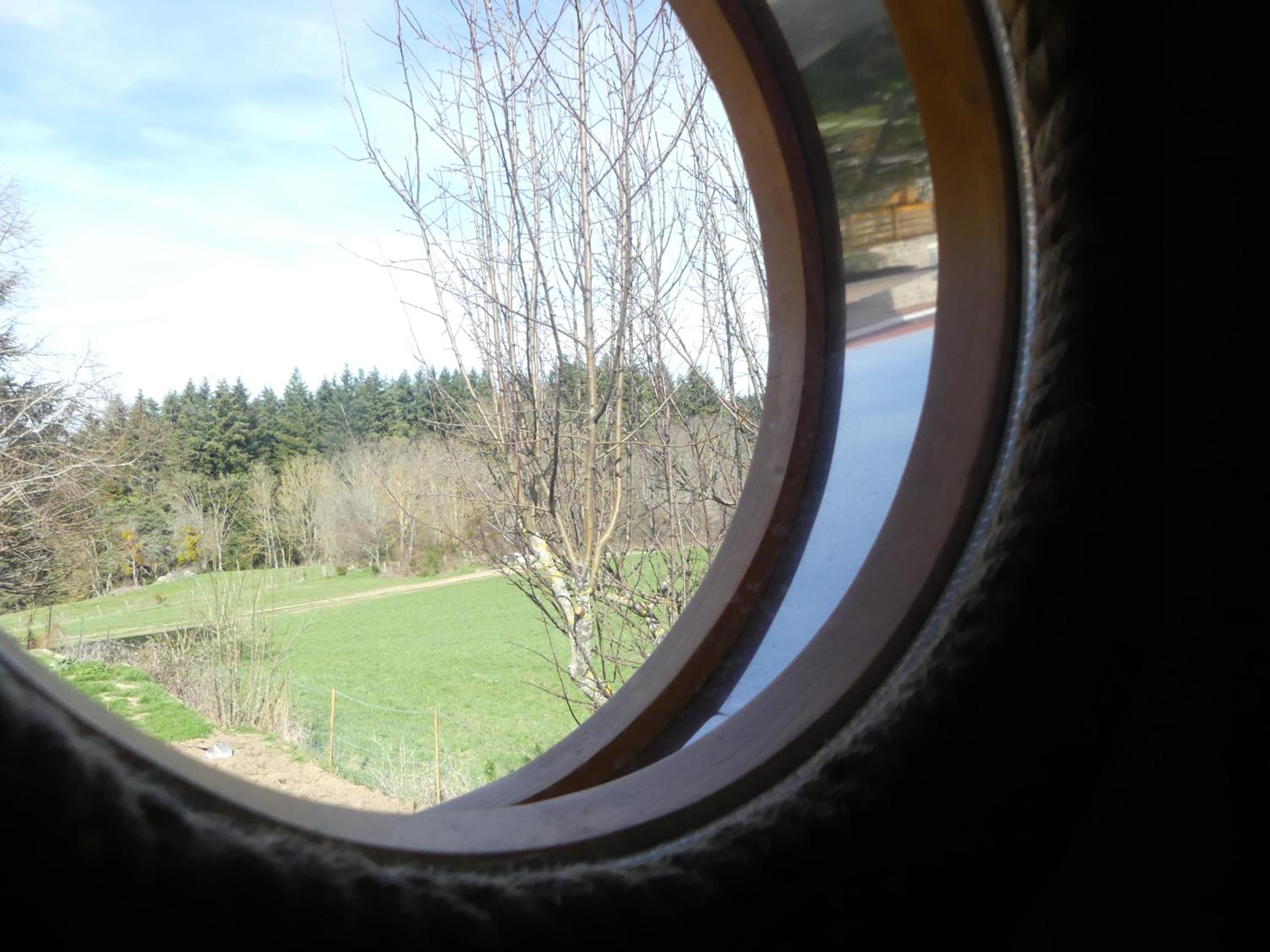 Photo 46