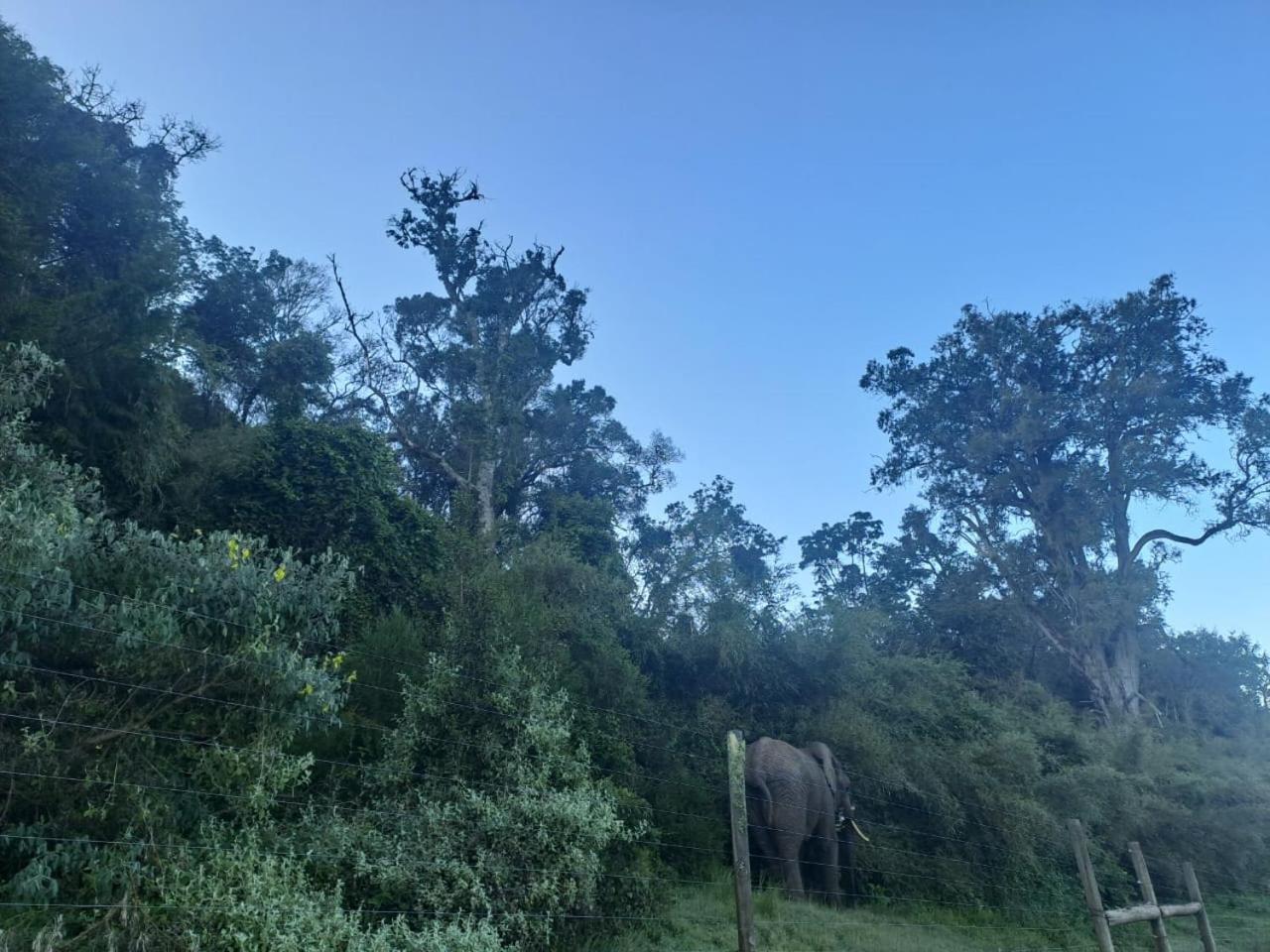 Aberdare white camp house kenya view 3