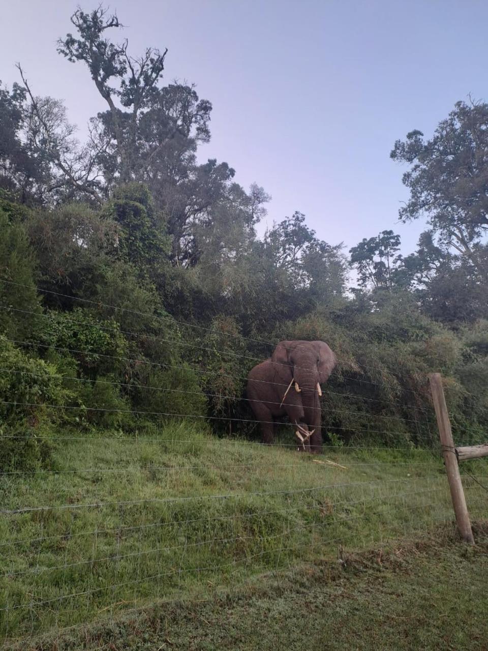 Aberdare white camp house kenya view 5