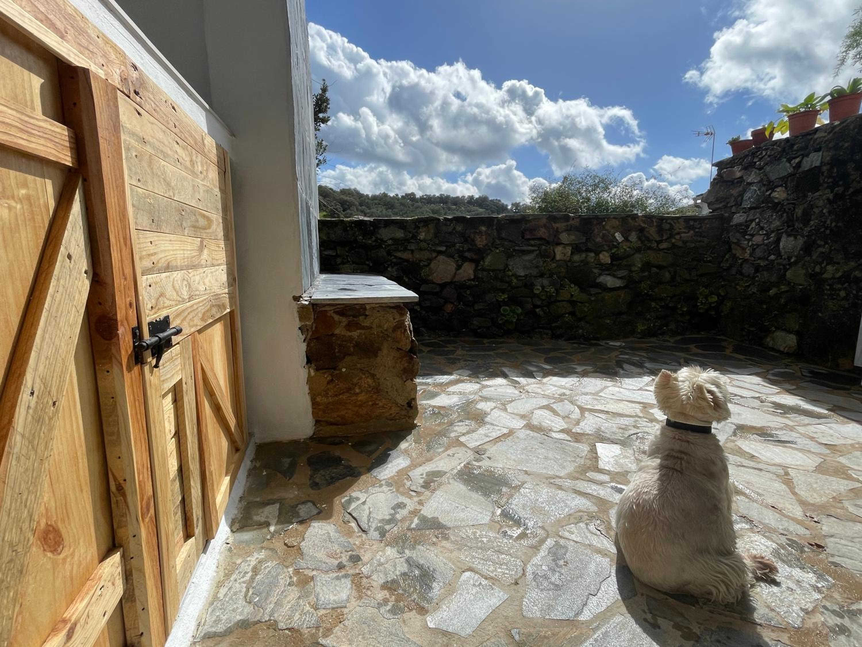Alojamiento La Casa del Pintor
