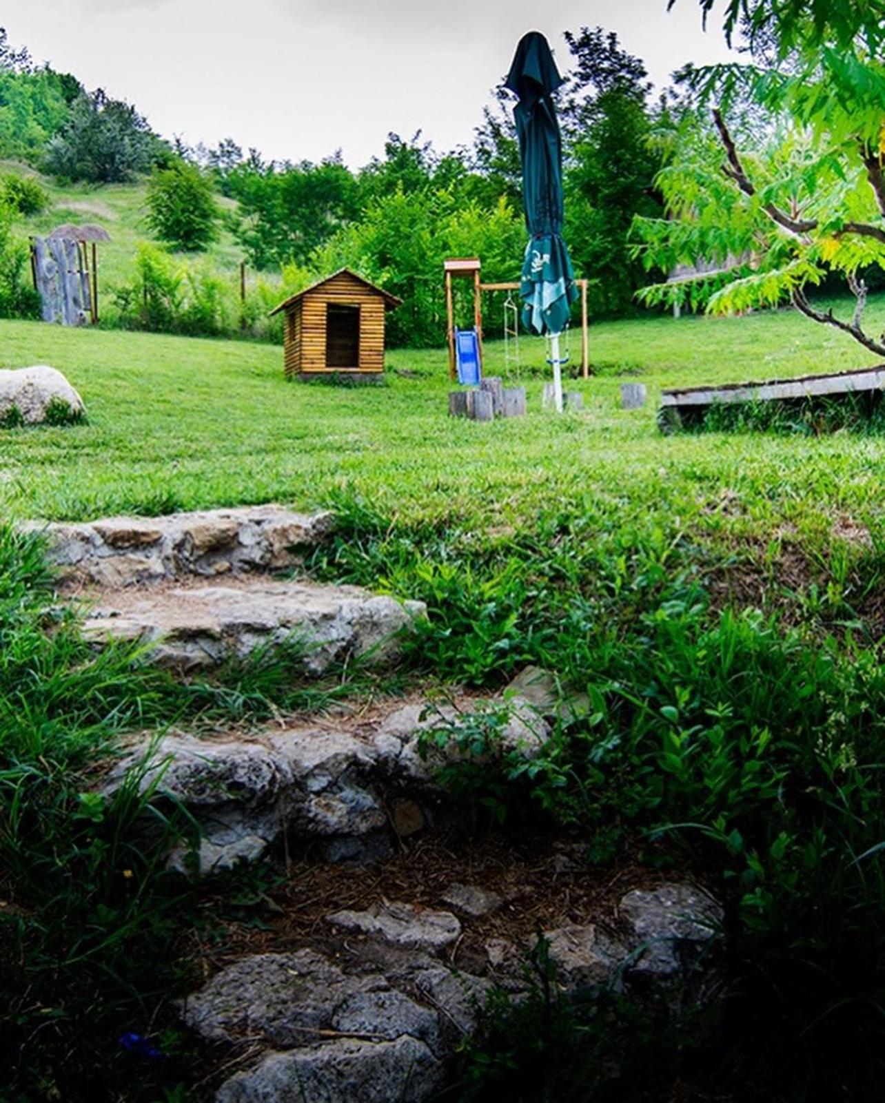 Photo 43