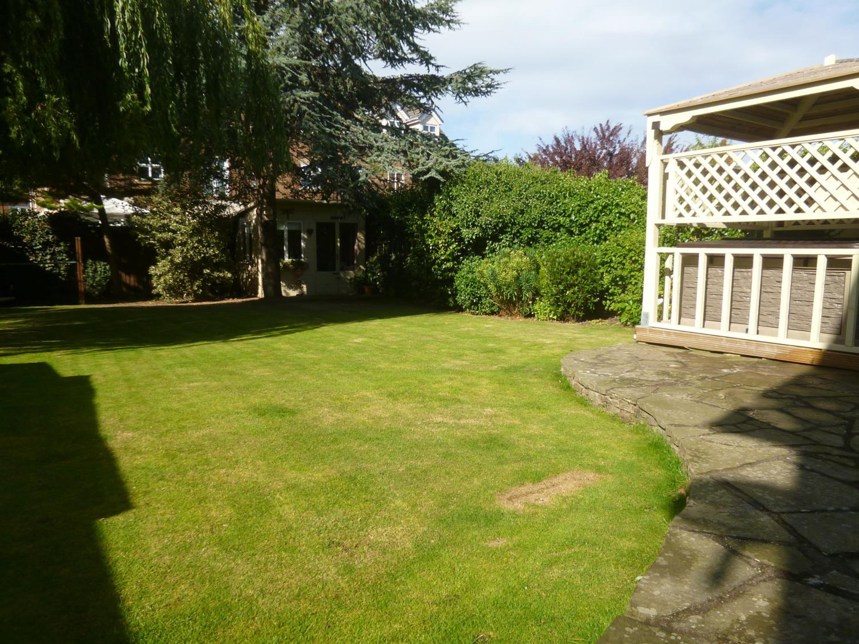 Photo 17