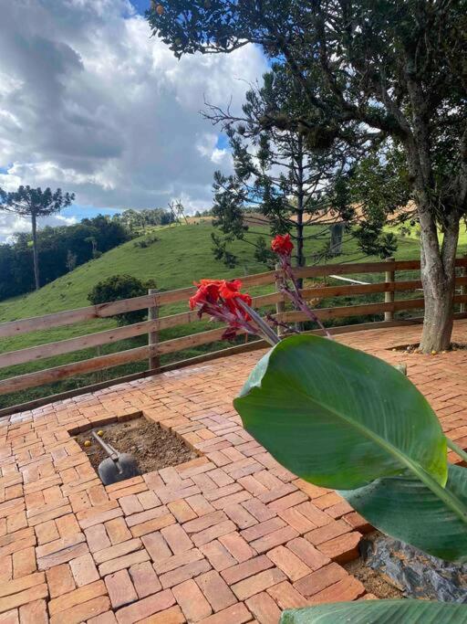 Chalé Vô Vilbertinho, pousada com café da manhã!