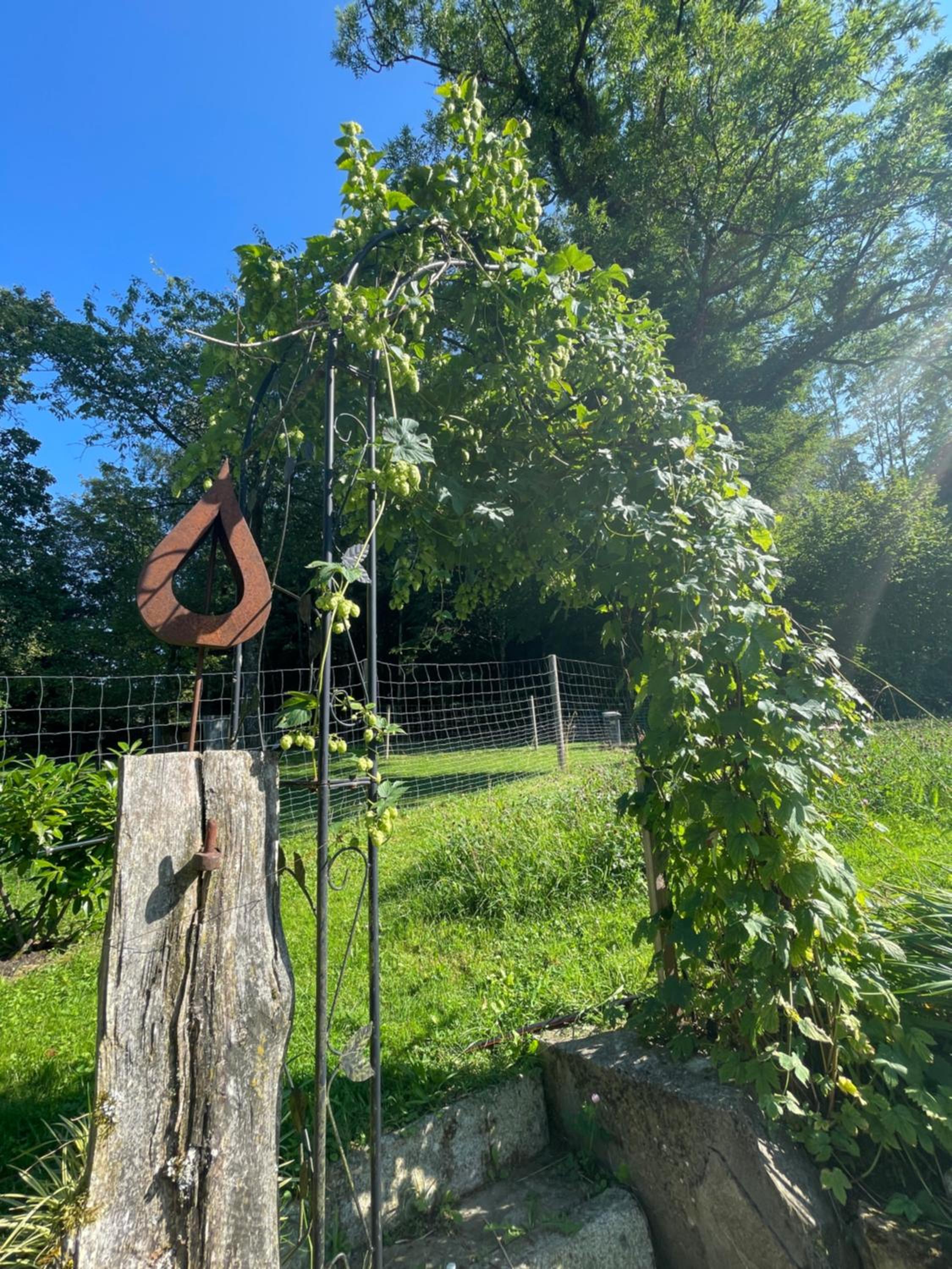 Landliebe
