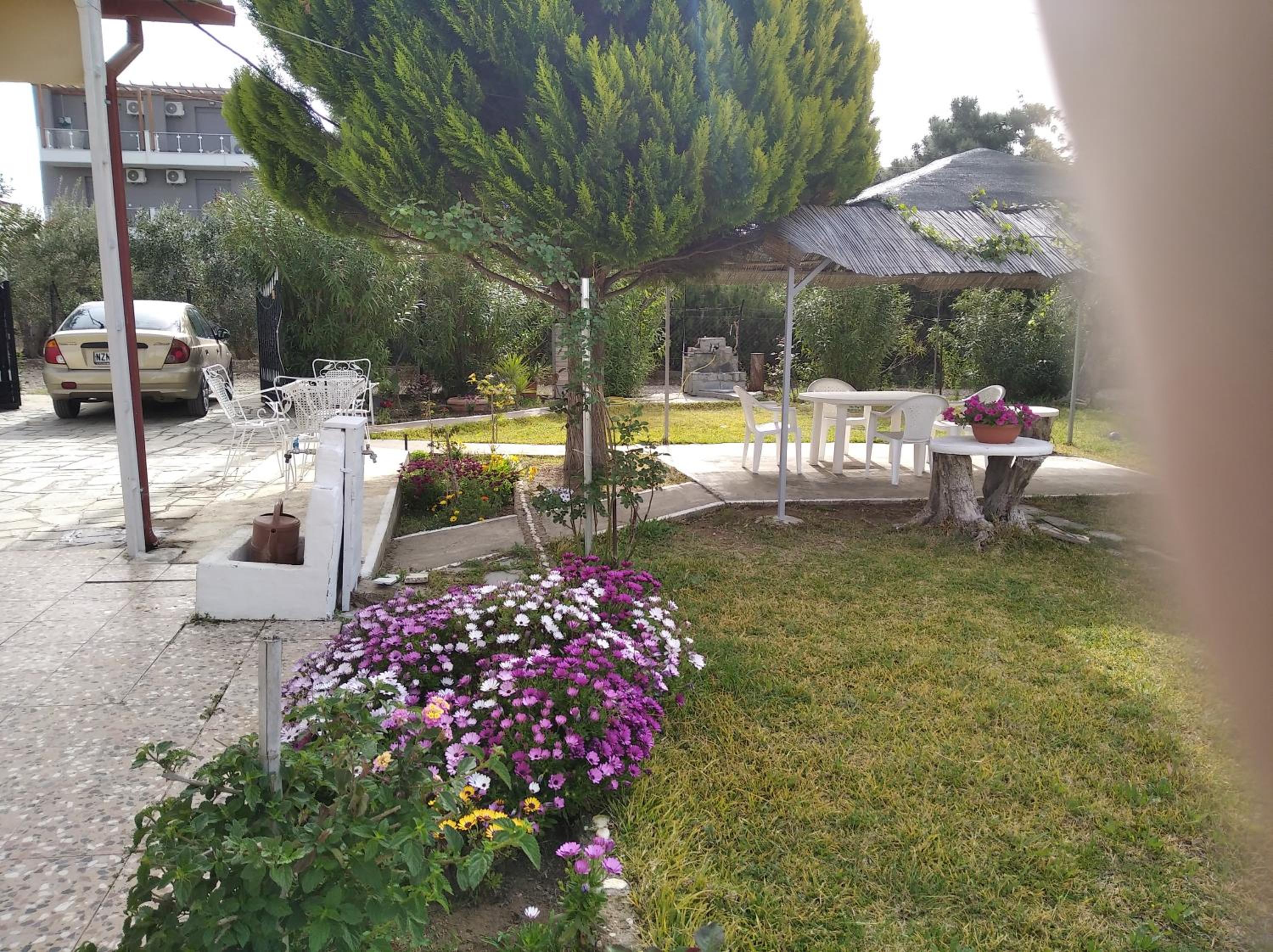 Photo 35