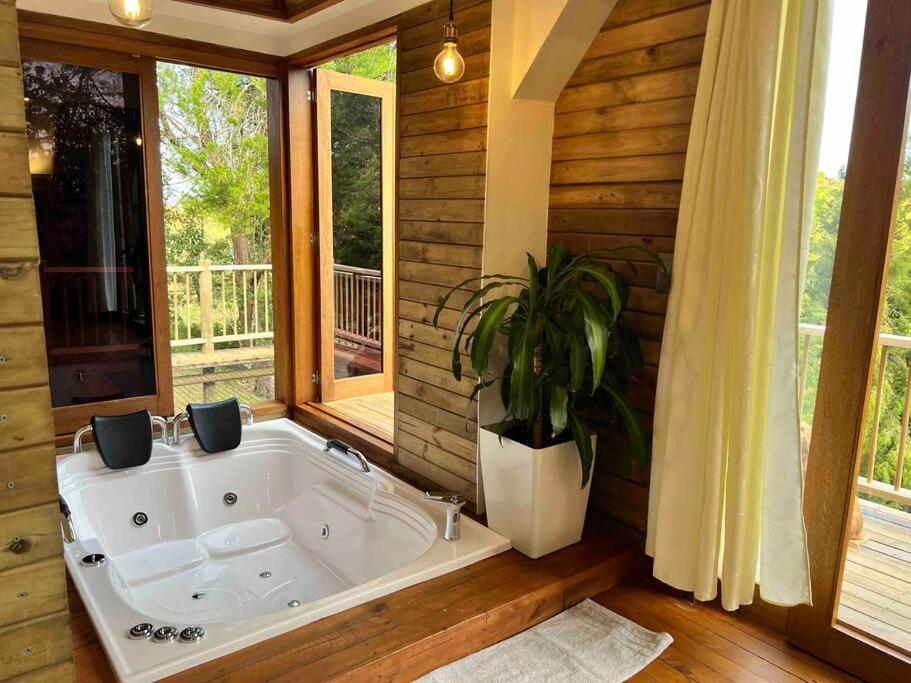 Cabaña tipo Chalet - Quimera Ecolodge