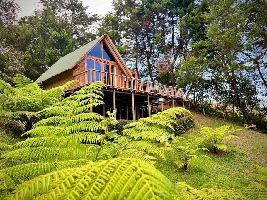 Cabaña tipo Chalet - Quimera Ecolodge