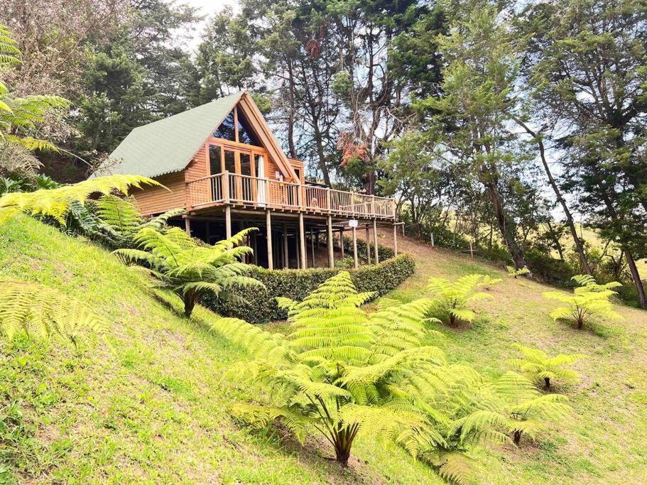 Cabaña tipo Chalet - Quimera Ecolodge