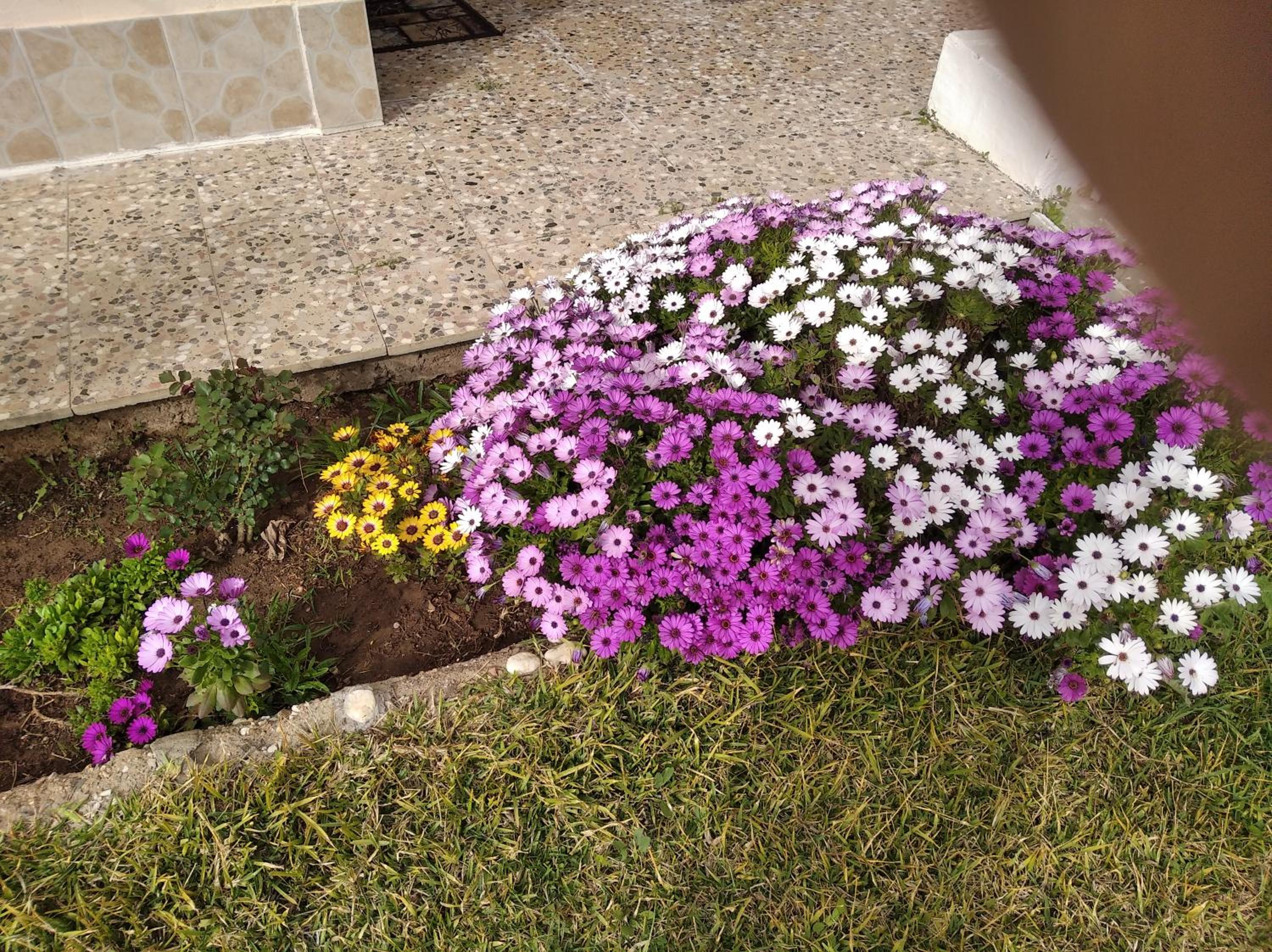Photo 37