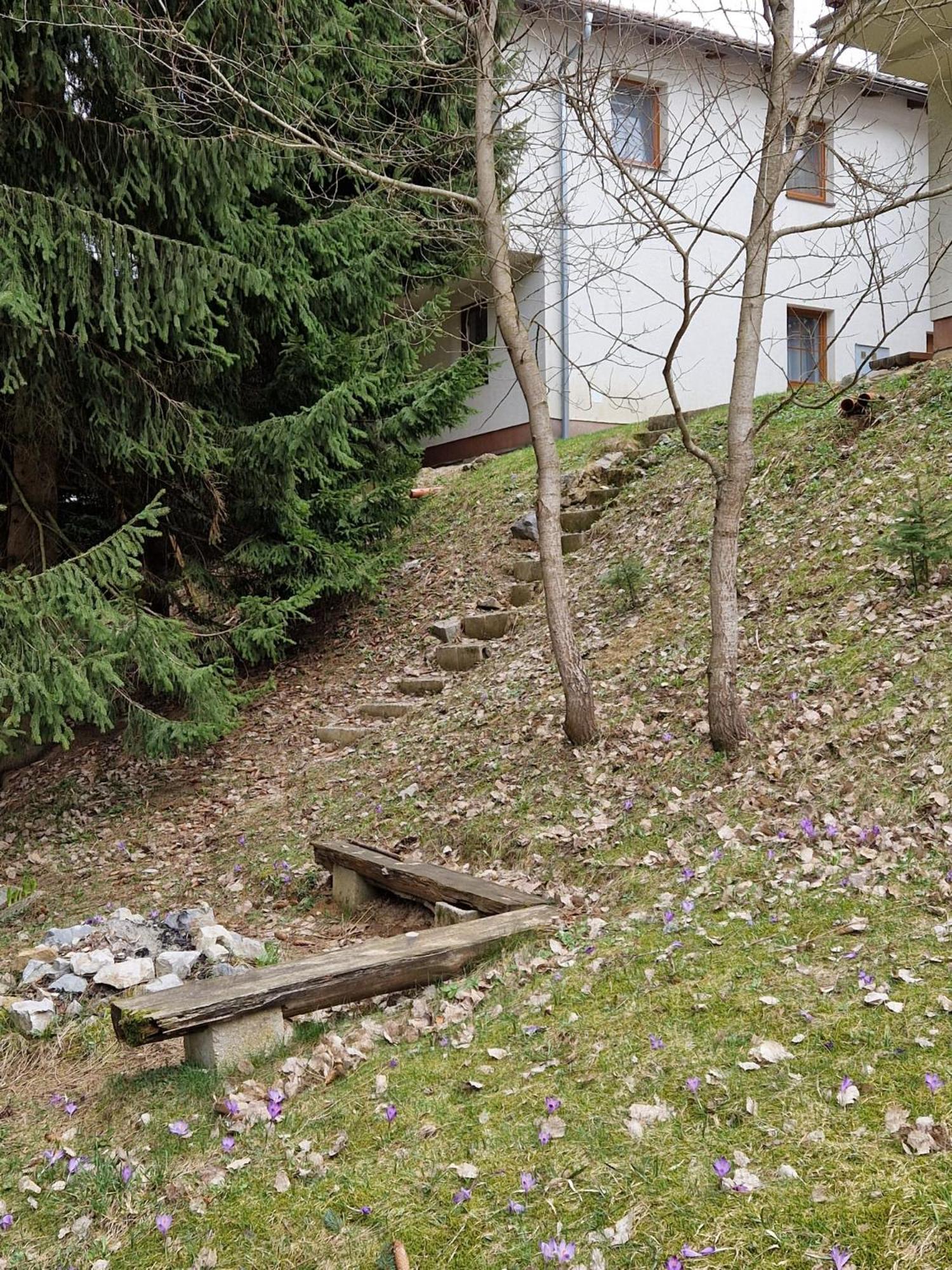 Photo 44