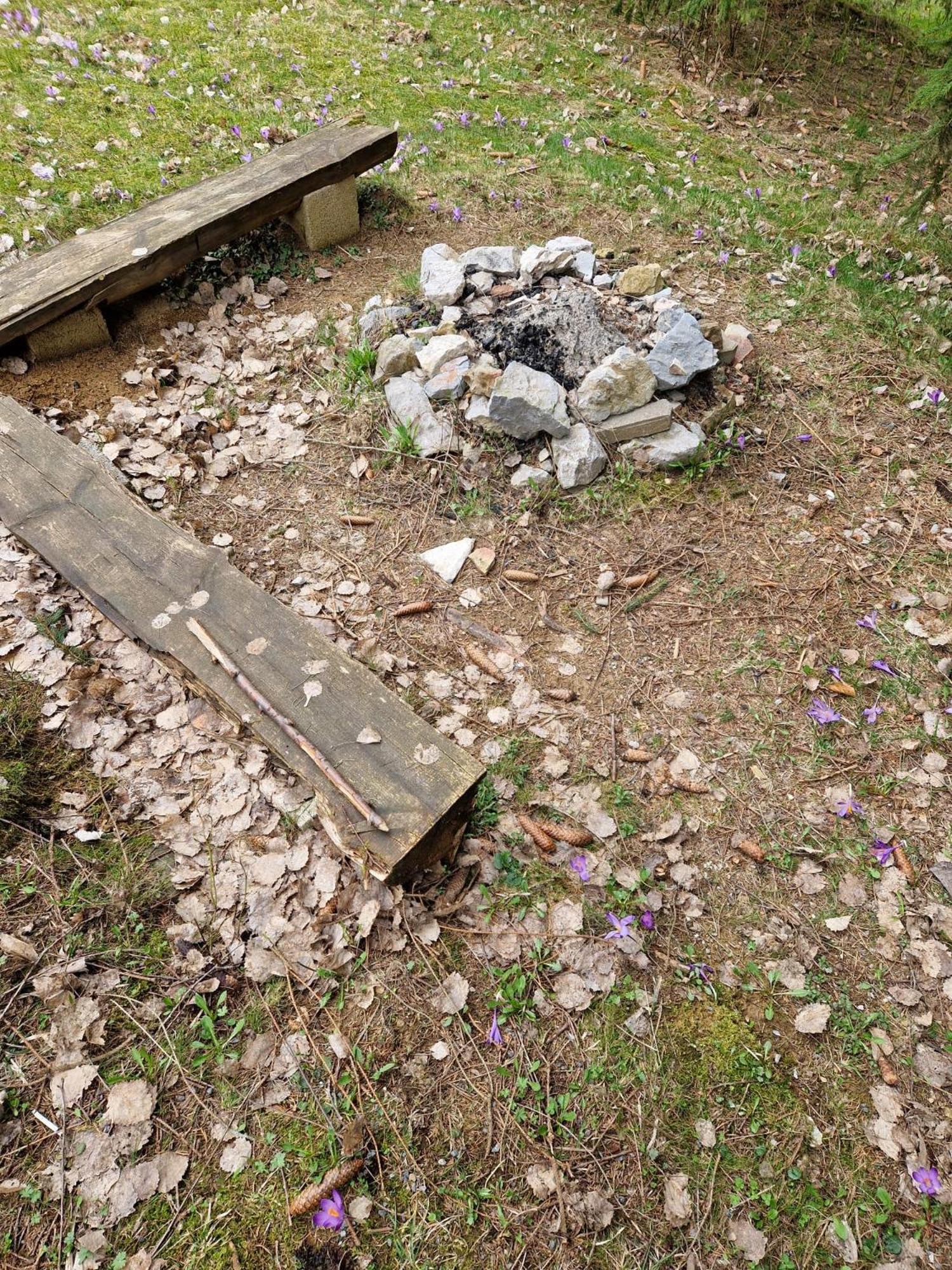 Photo 43