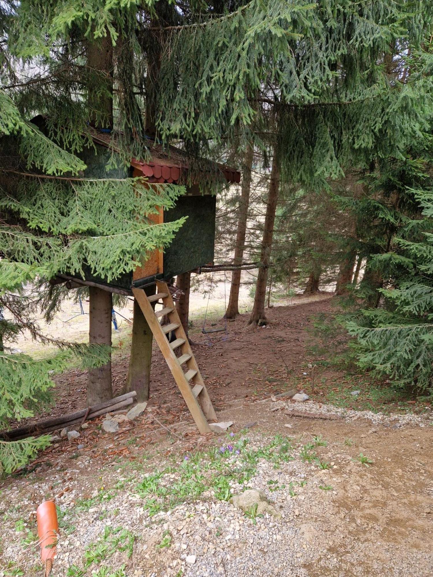 Photo 46