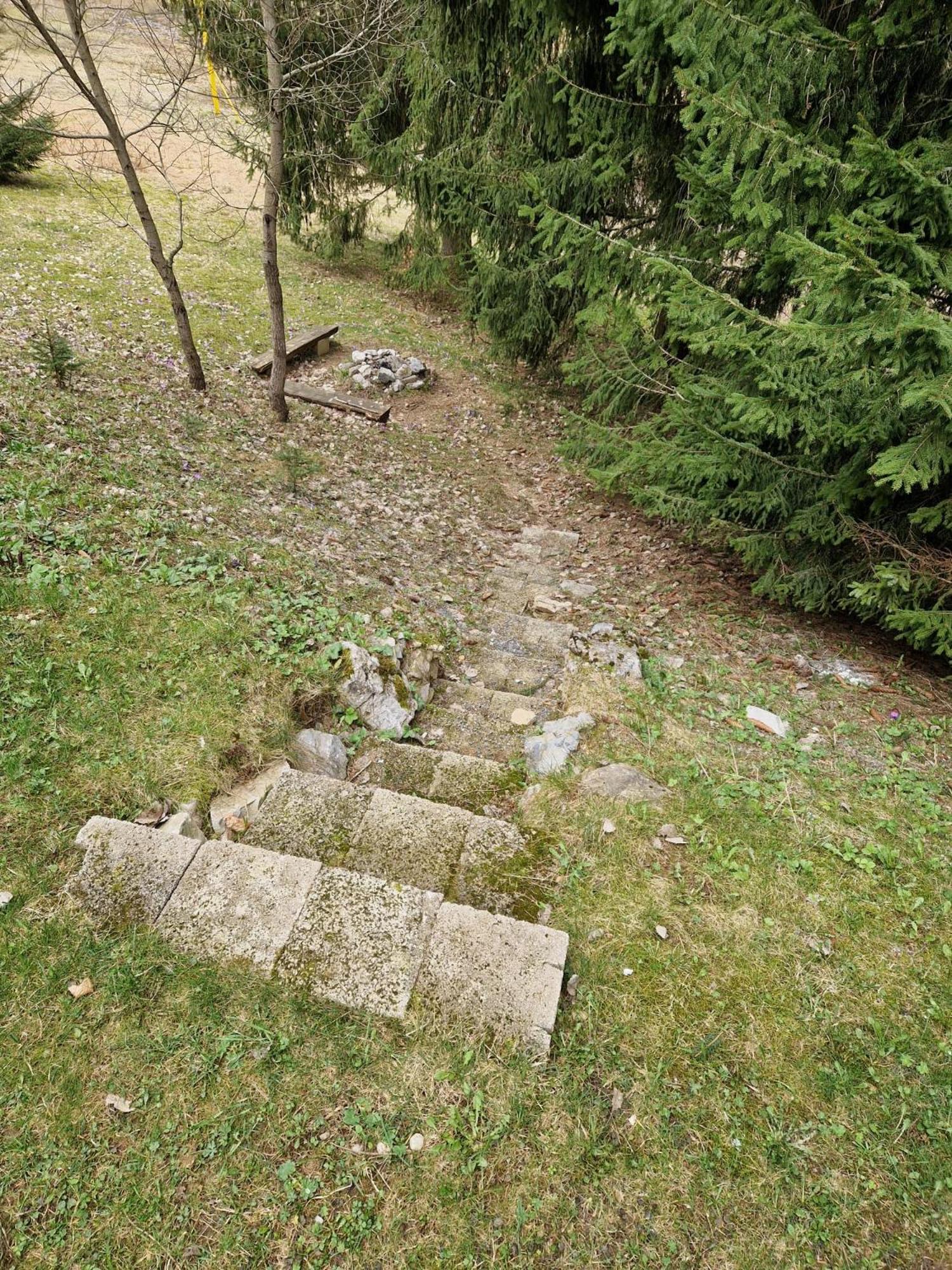 Photo 42