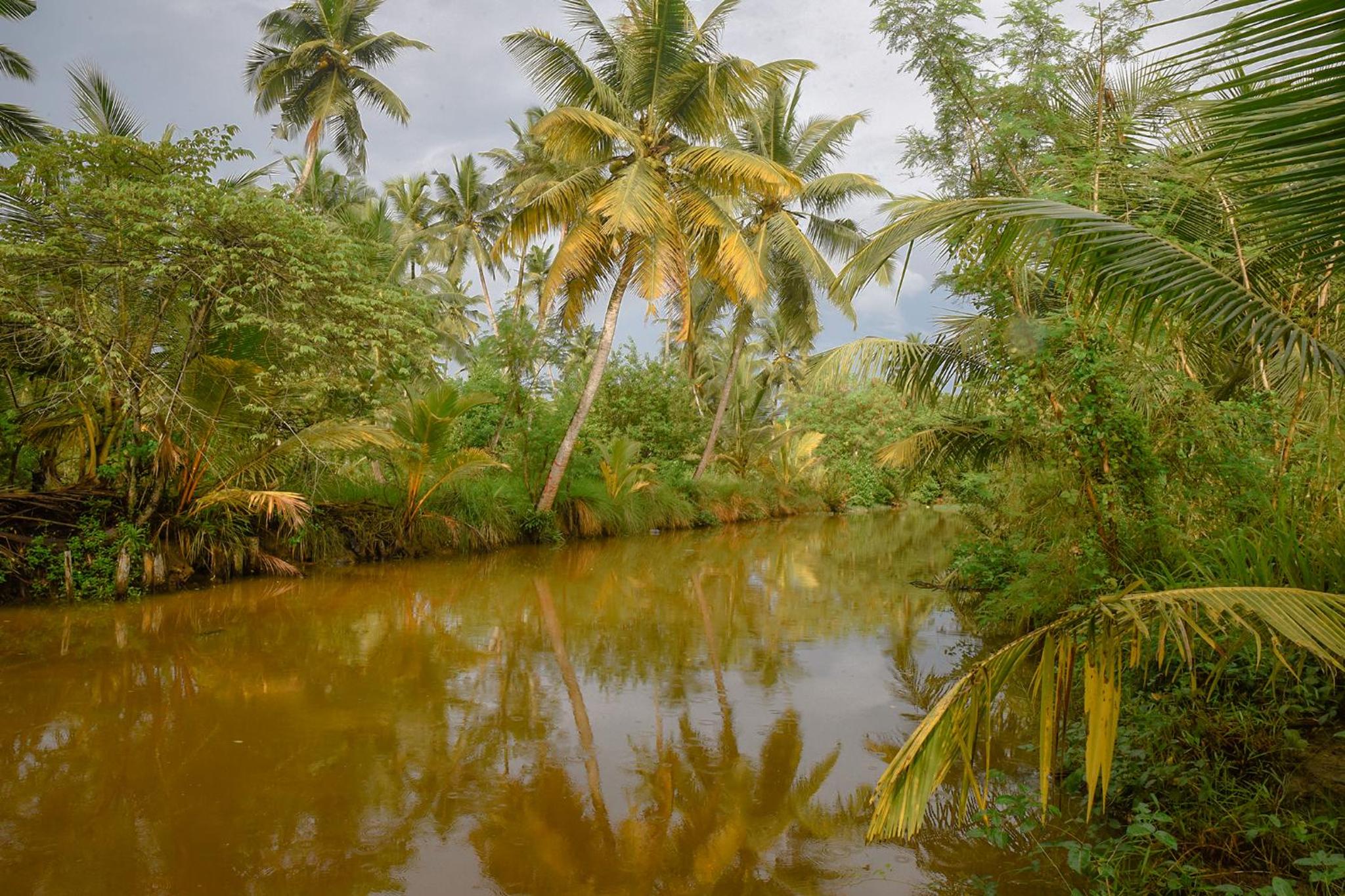 Cinnamon Lagoon Villas view 4